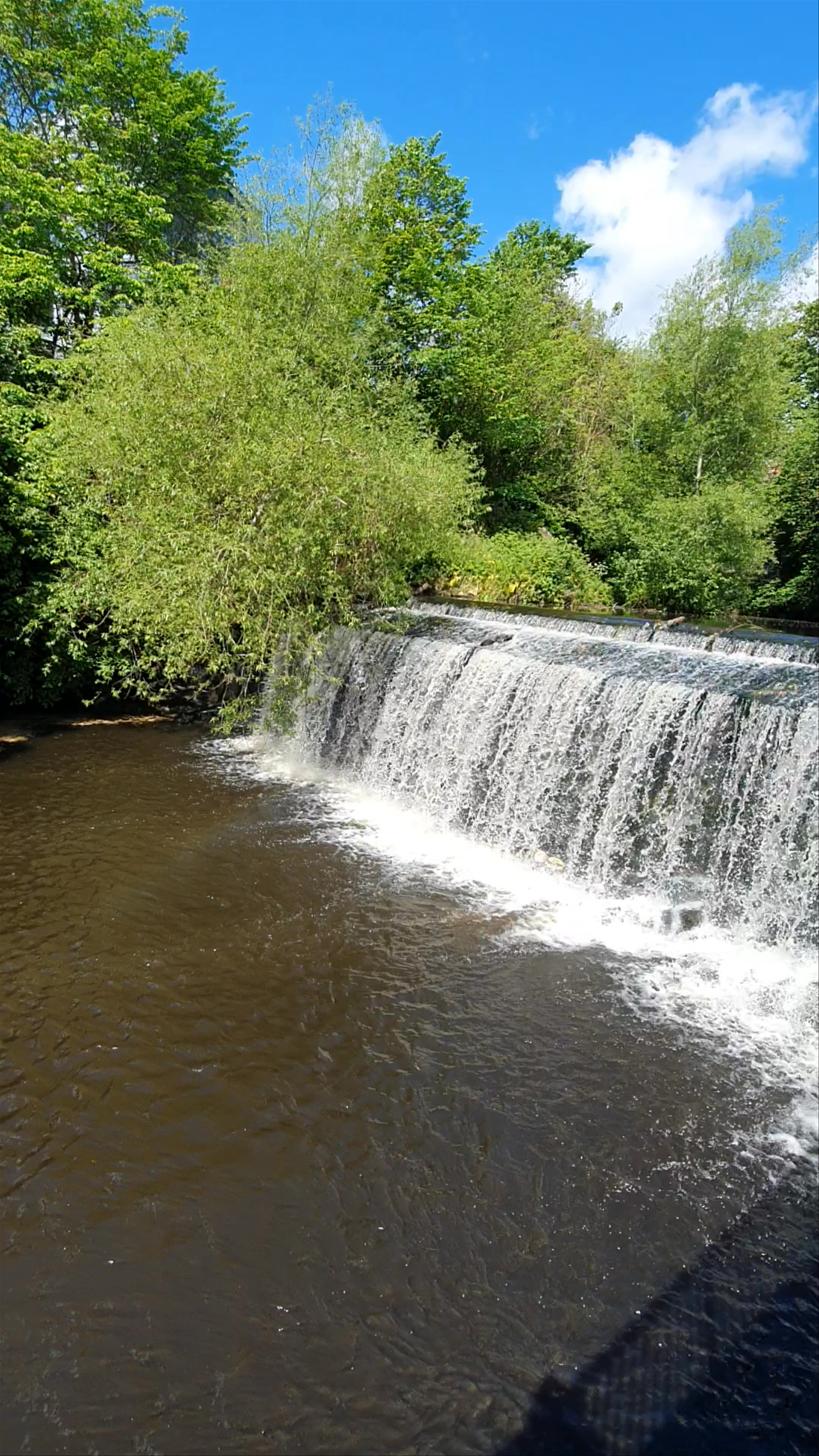 Water of Leith Walkway: A Serene Urban Nature Escape in Edinburgh