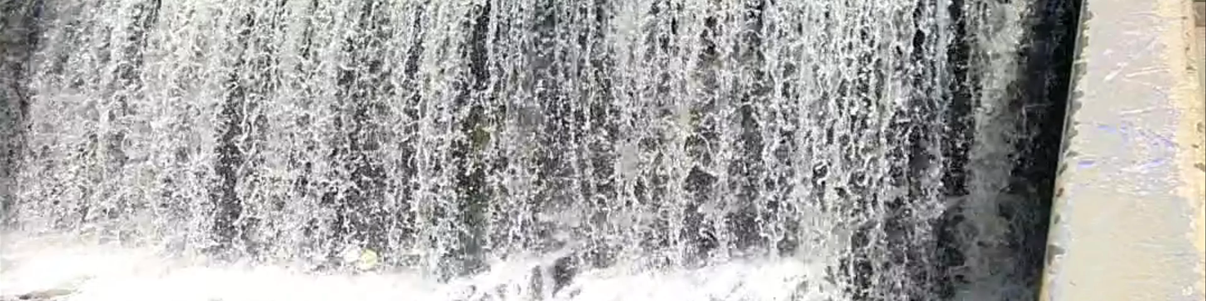 Water of Leith Walkway