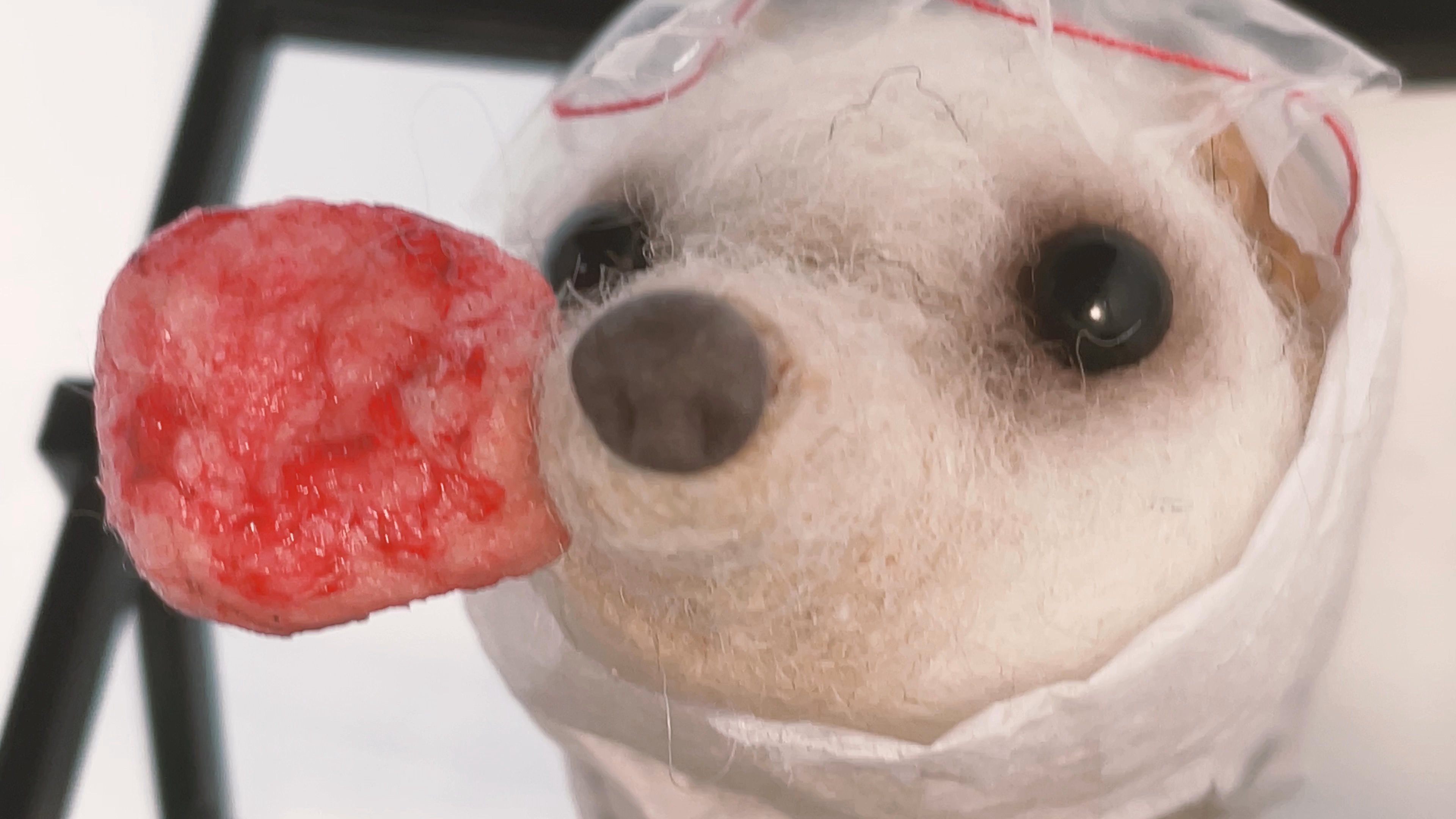 A person dressed as a surgeon conducts a mock operation on a toy hedgehog. The scene incorporates a countdown graphic to indicate the timing of the procedure.