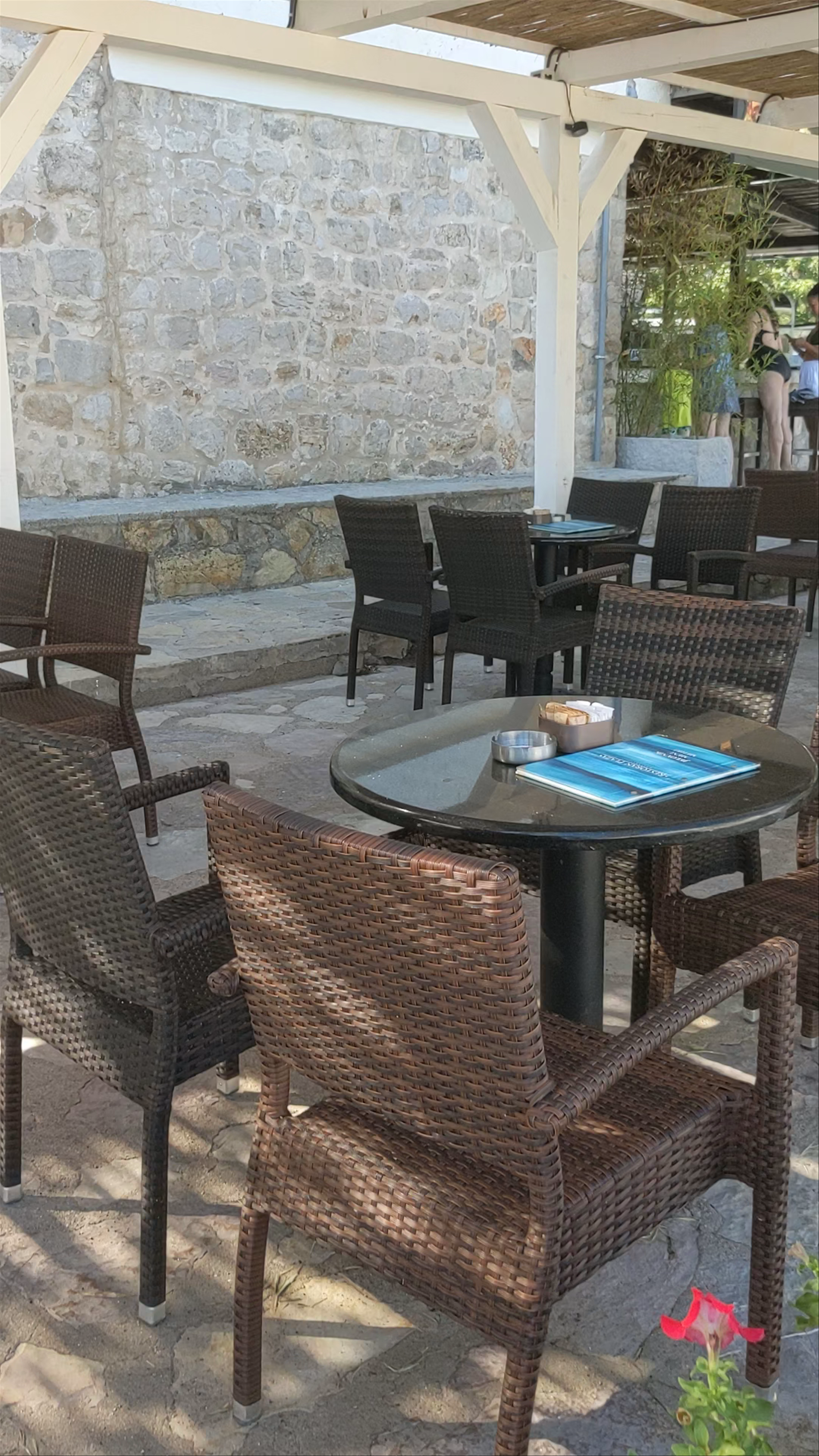 Relaxed Dining Experience at Restaurant Plaza, Kaluđerac, Montenegro