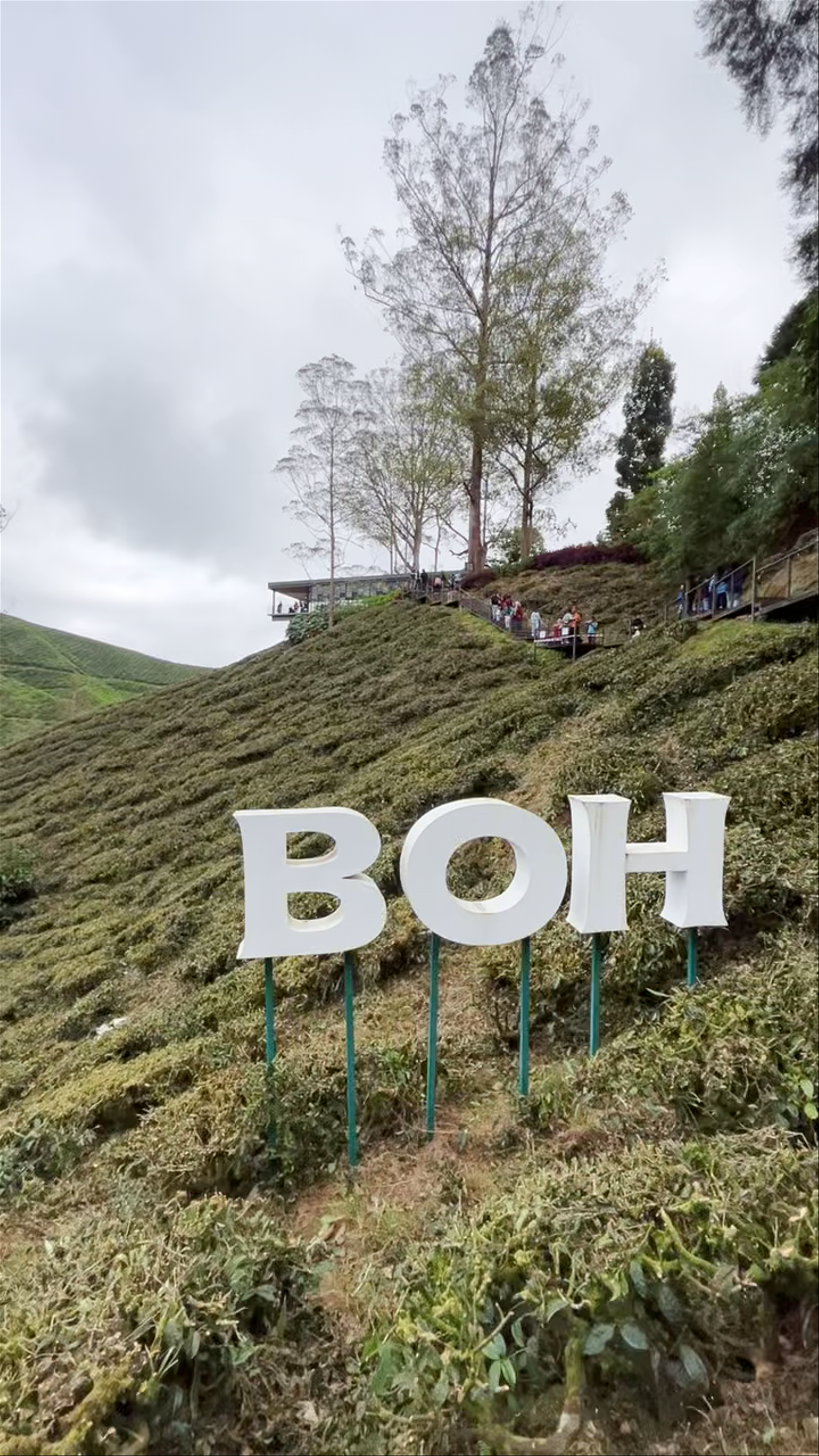 BOH Tea Centre (Sungei Palas Garden)