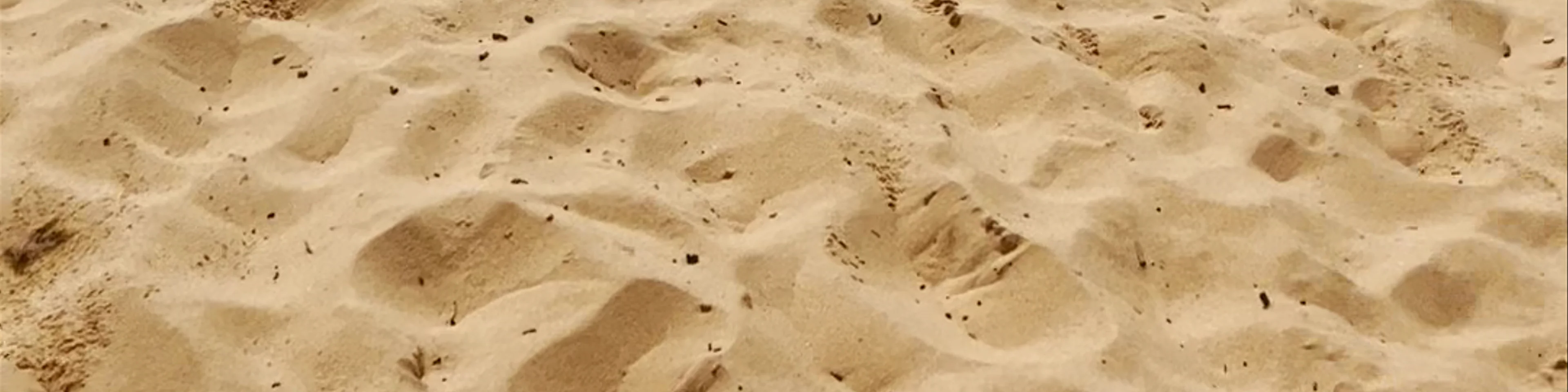 Wamberal Beach