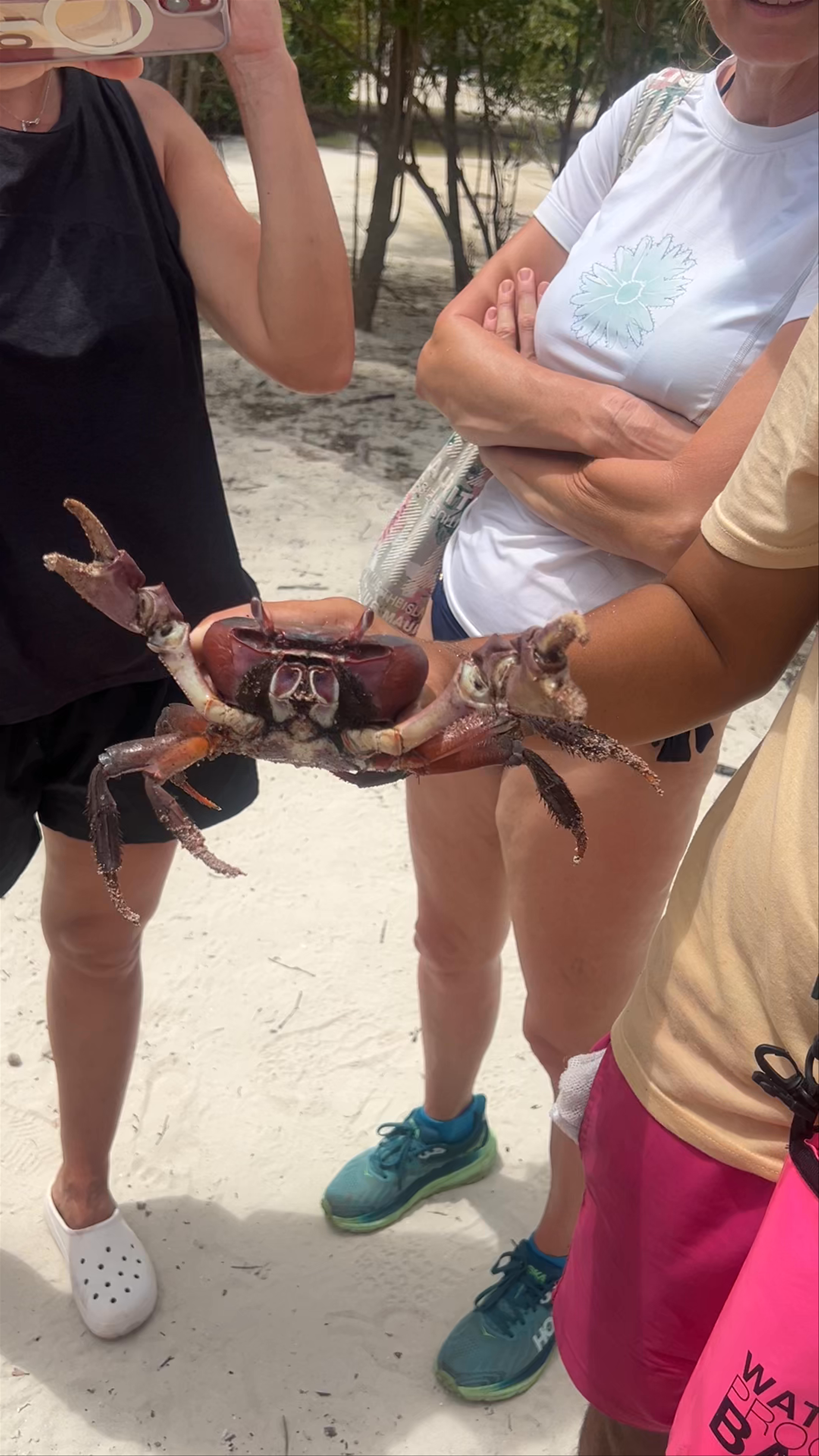 Curieuse Island Excursions