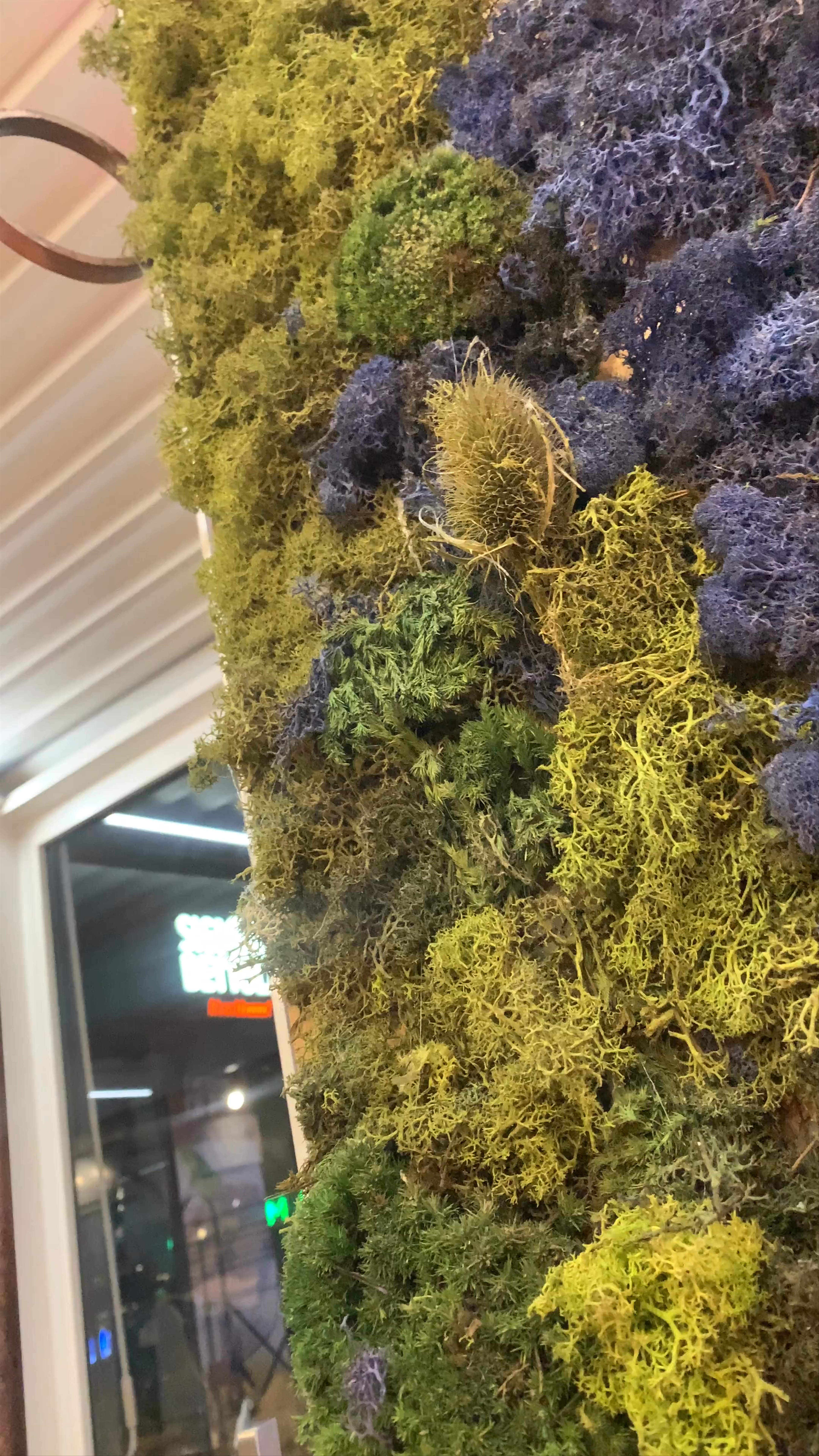 Signora Bettola - Aversa