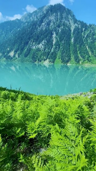 Photo of The places you never