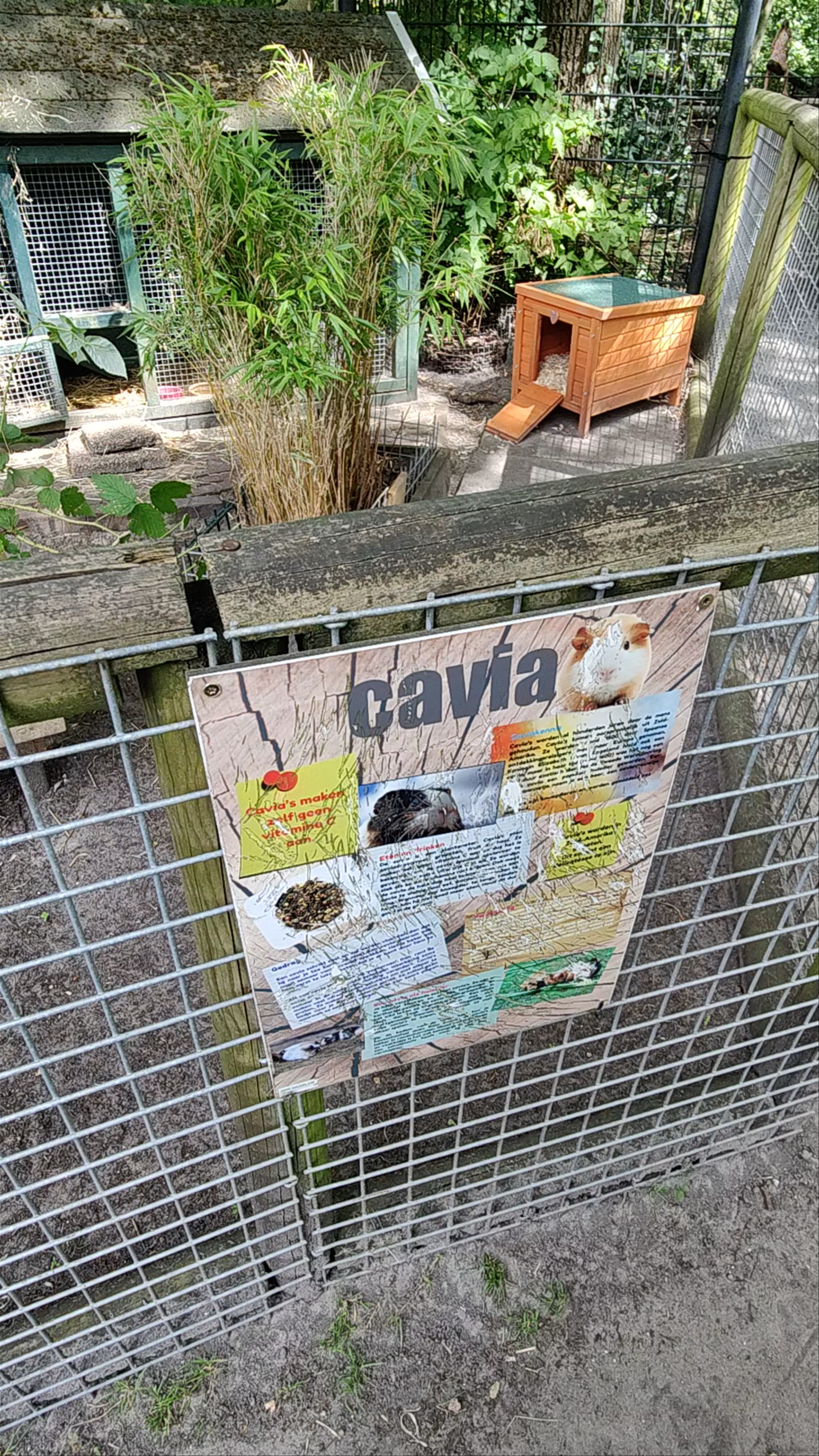 Stadsboerderij de Houthoeve: Urban Farm Animal Haven in Haarlem
