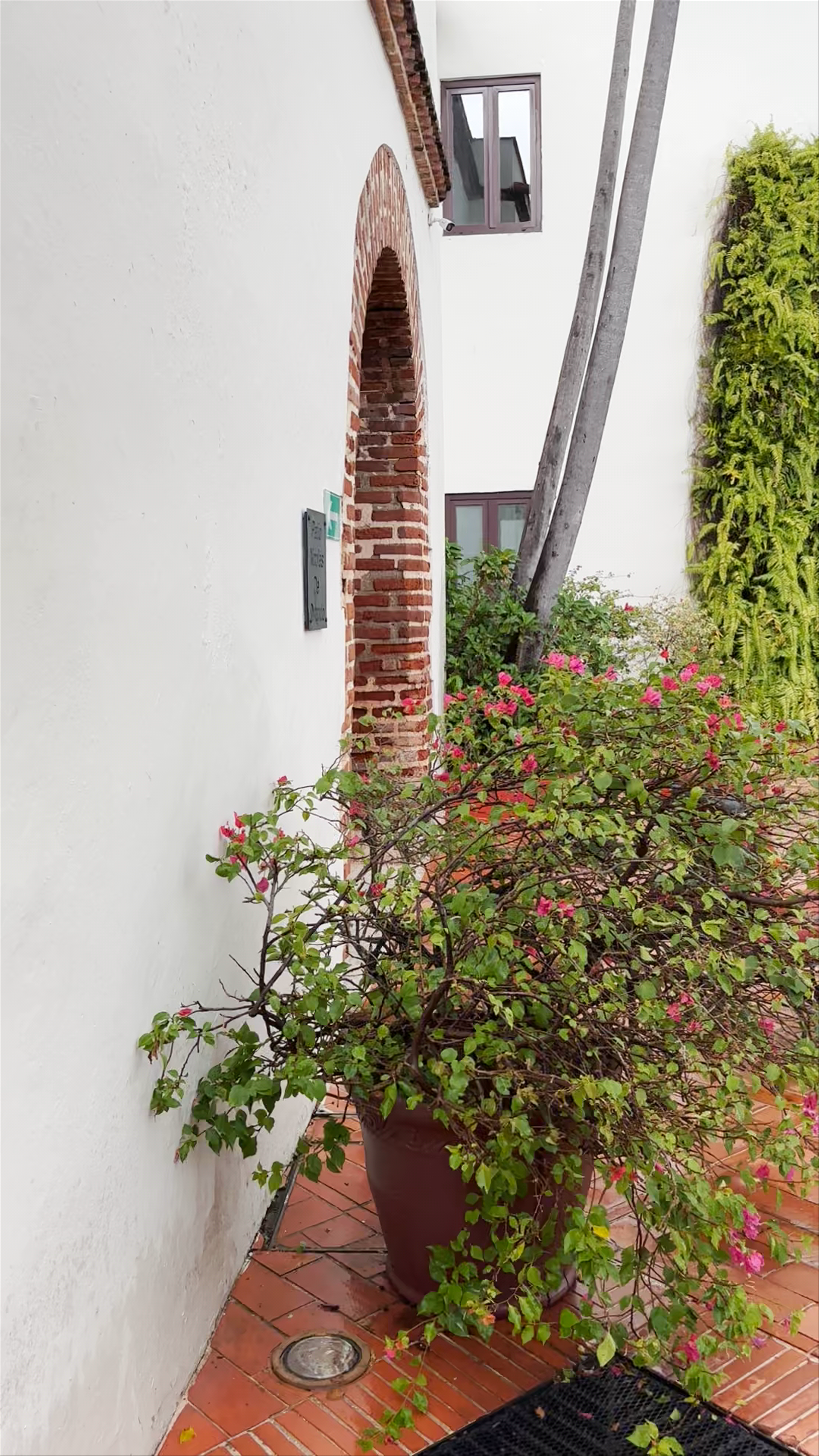 Hodelpa Nicolás de Ovando