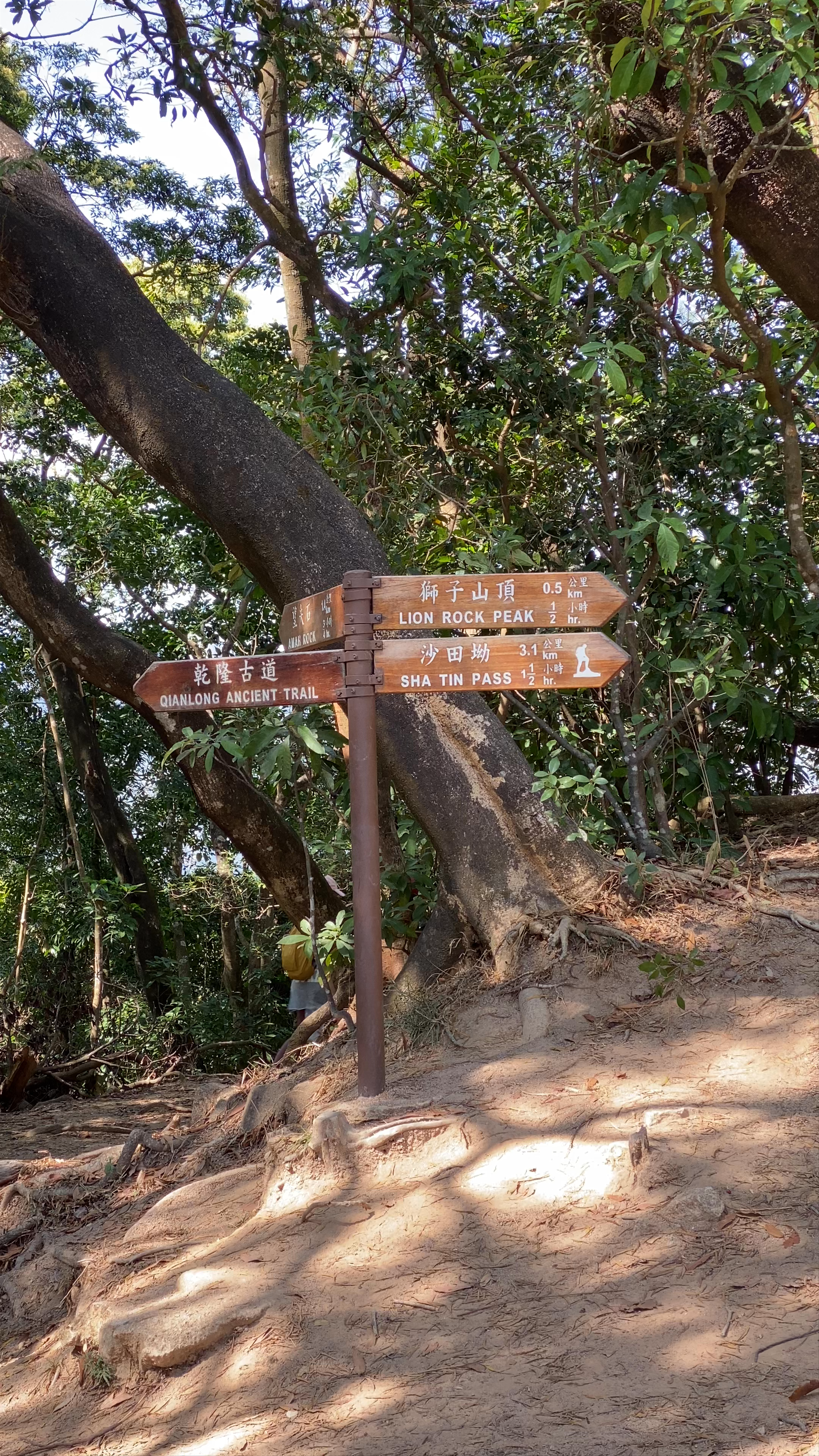 Lion Rock Country Park