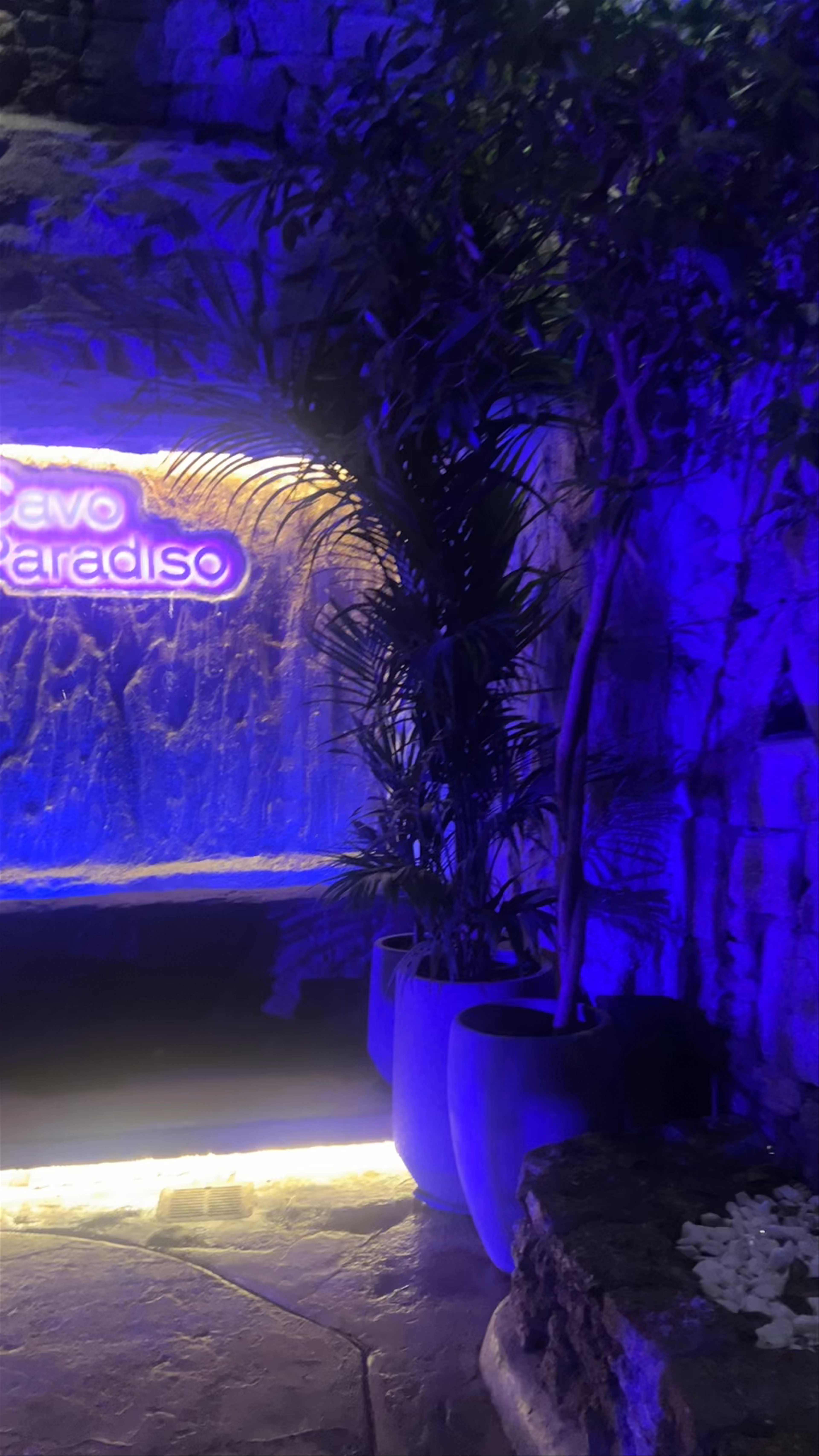 Cavo Paradiso Club Mykonos