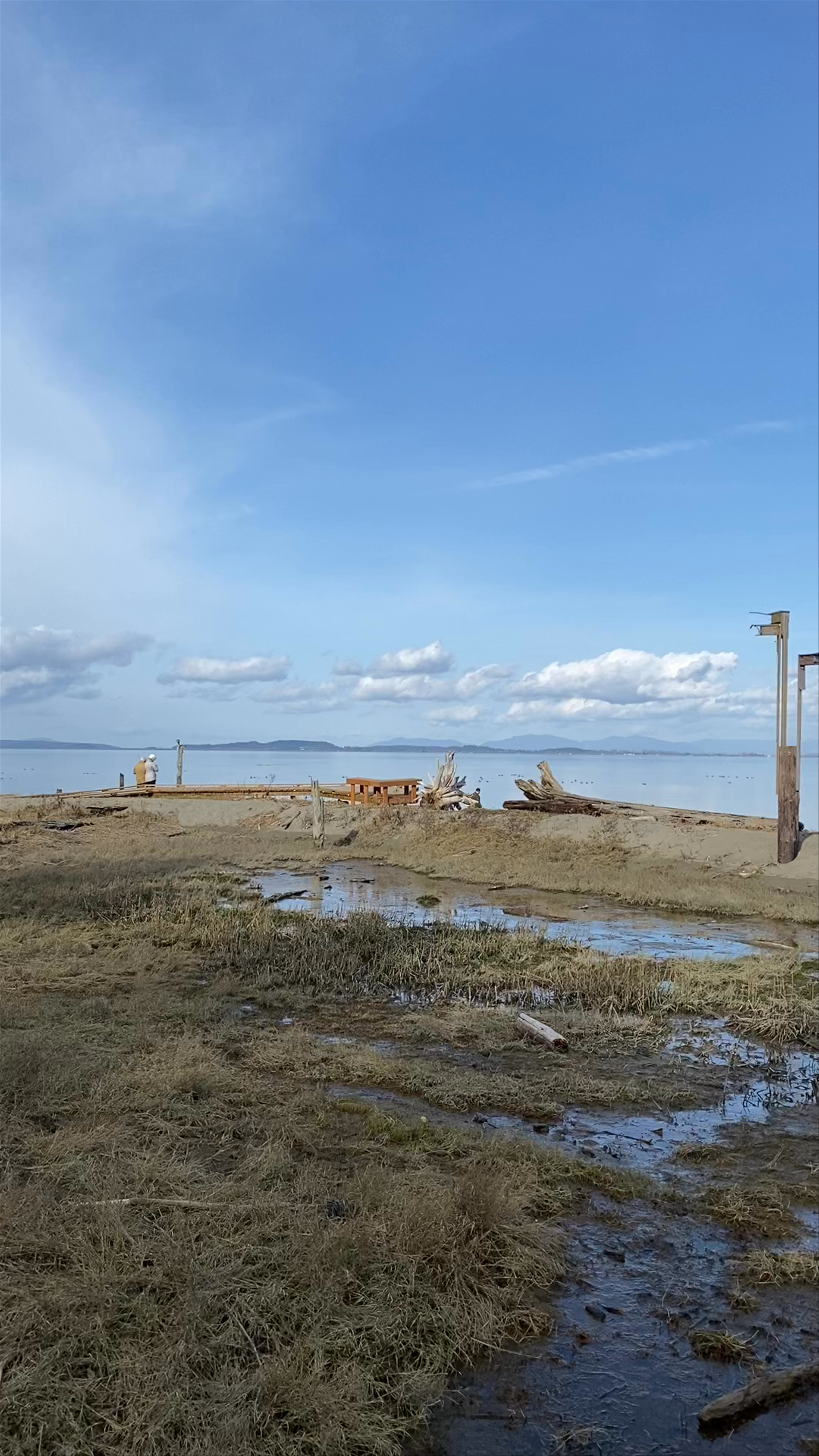 English Boom Trail County Park