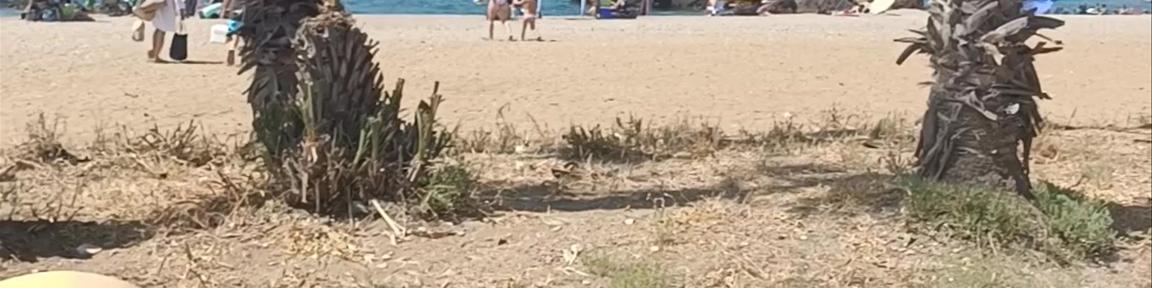 Playa De Nares