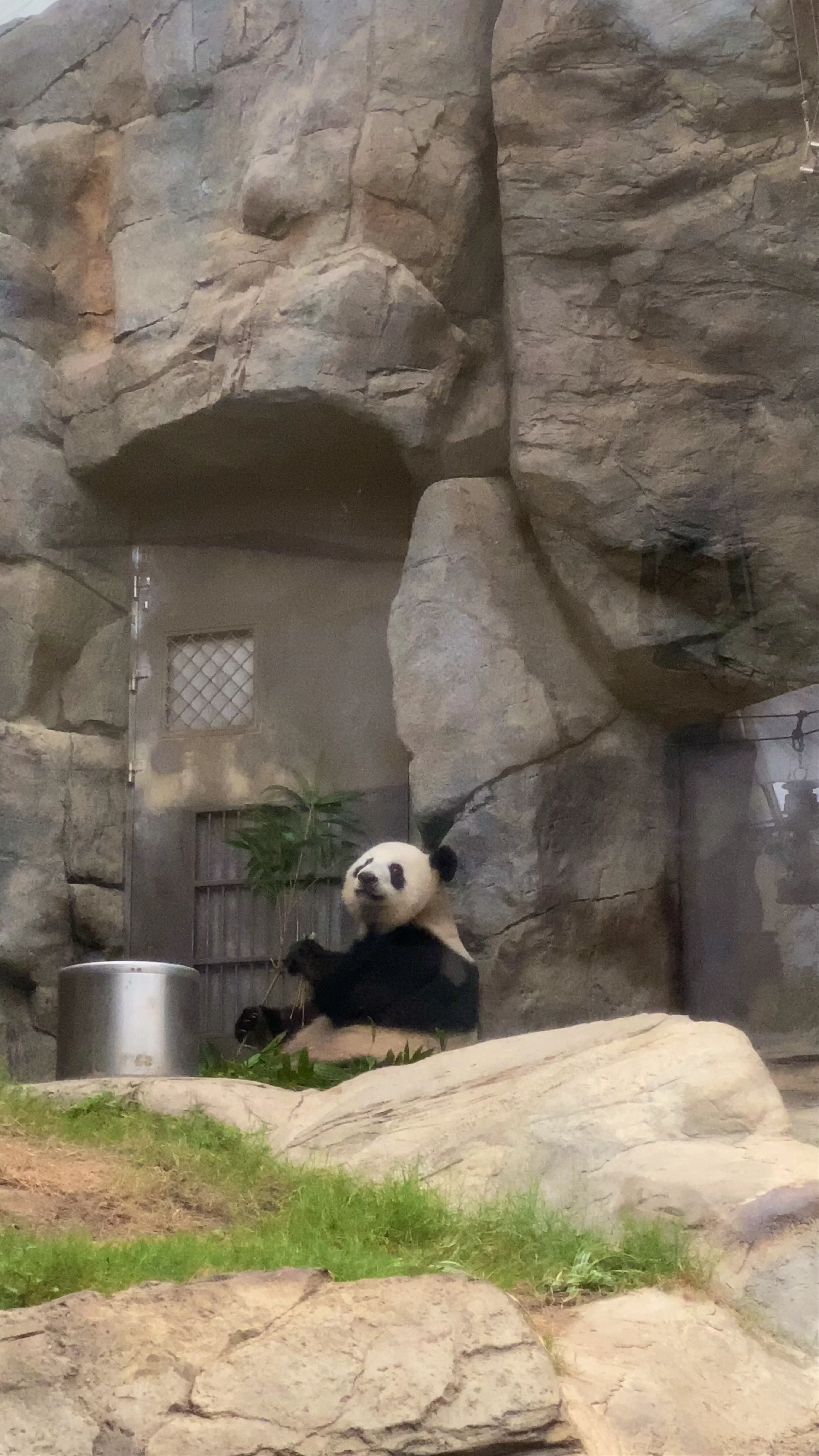 Giant Panda Adventure, Wong Chuk Hang Road