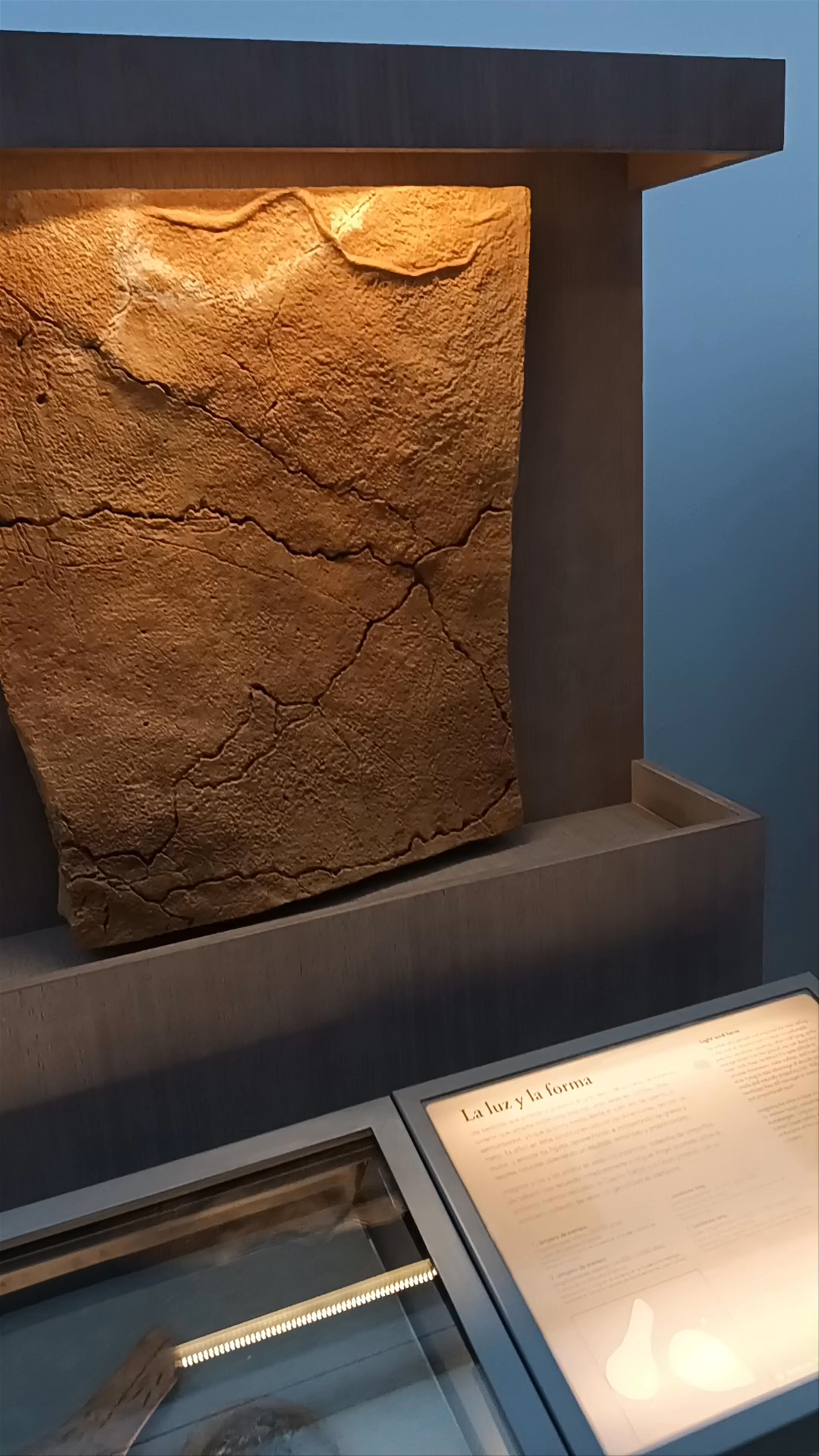 Museo Altamira Mitológica