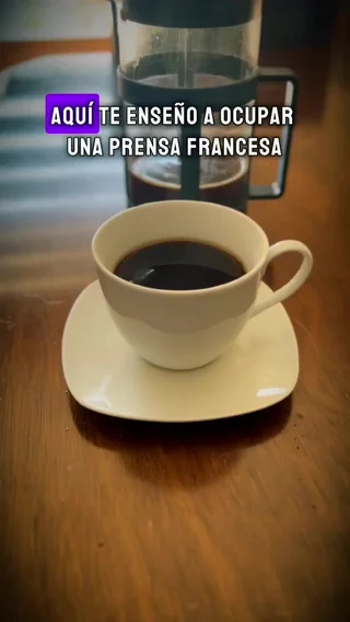 Preview del contenido