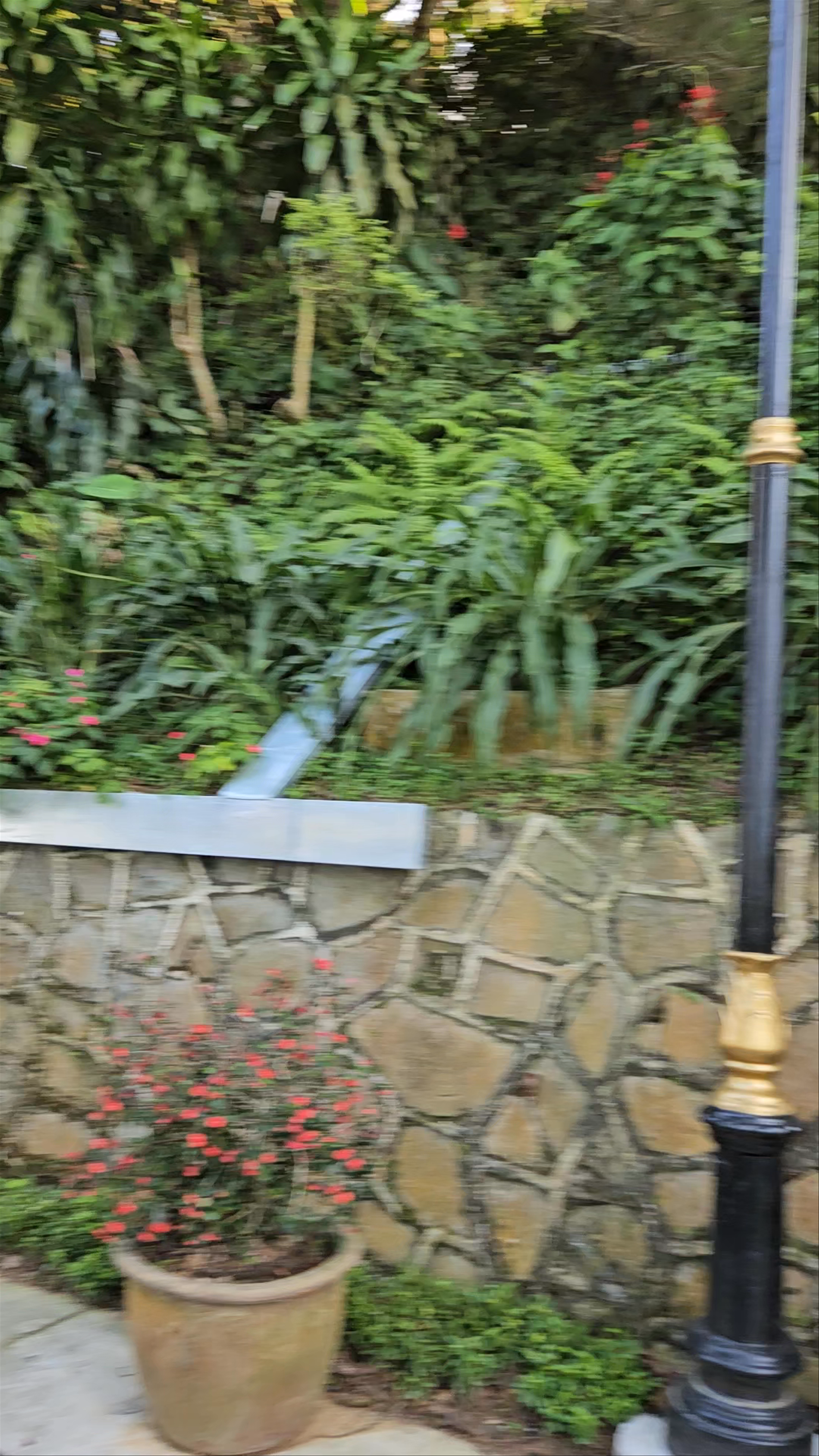 Penang Hill: Lush Nature Walk & Scenic Views in Bukit Bendera, Malaysia