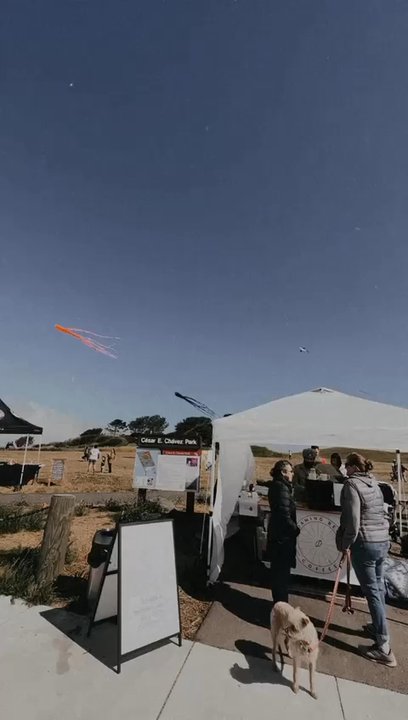Roaming Bean Coffee - The vibe! Coffee, Kites and dogs!! (Oh wonderful humans too) - Coffee & Tea Near Me - Berkeley, California
