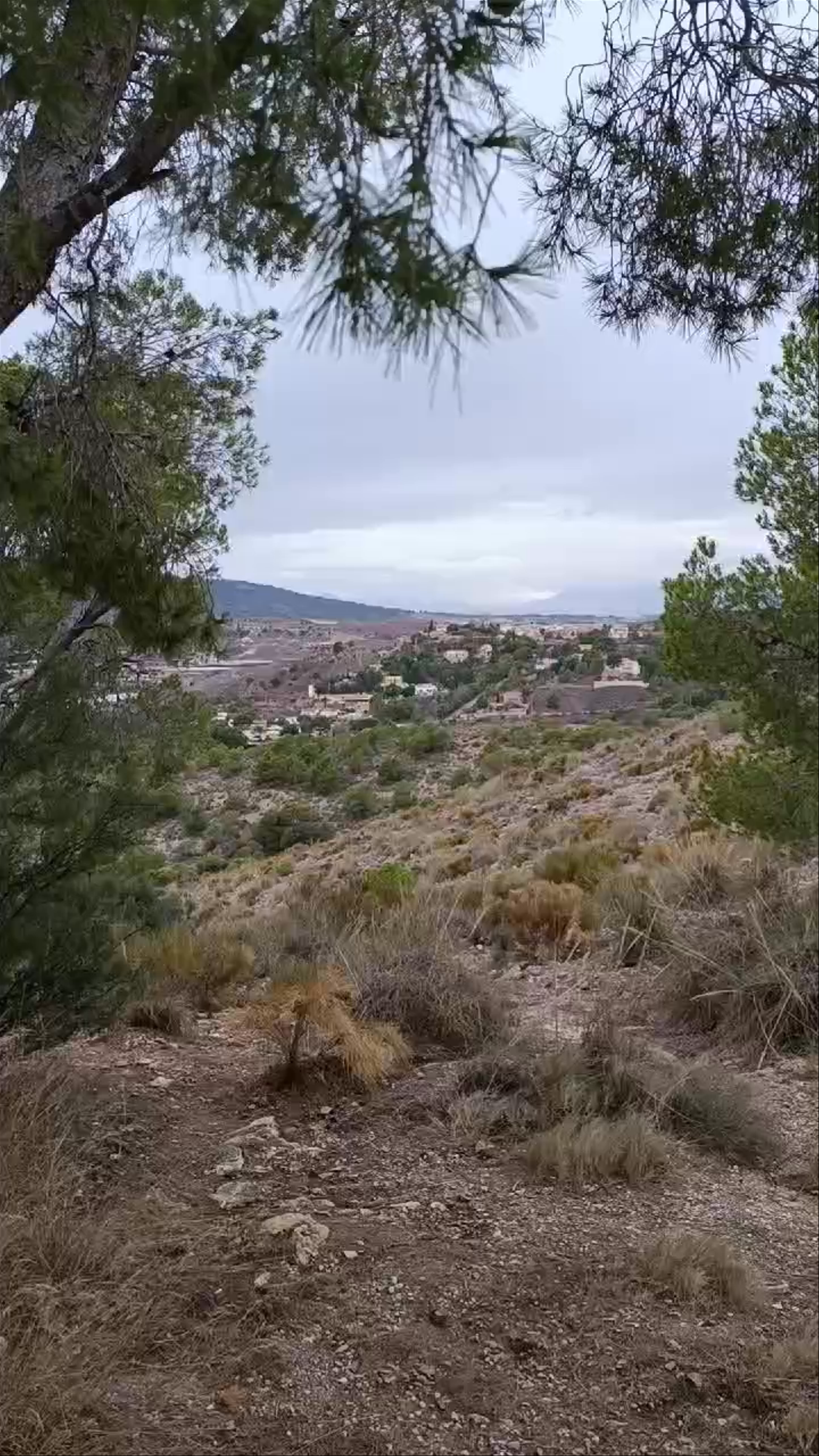 Mirador del Corazón de Jesús