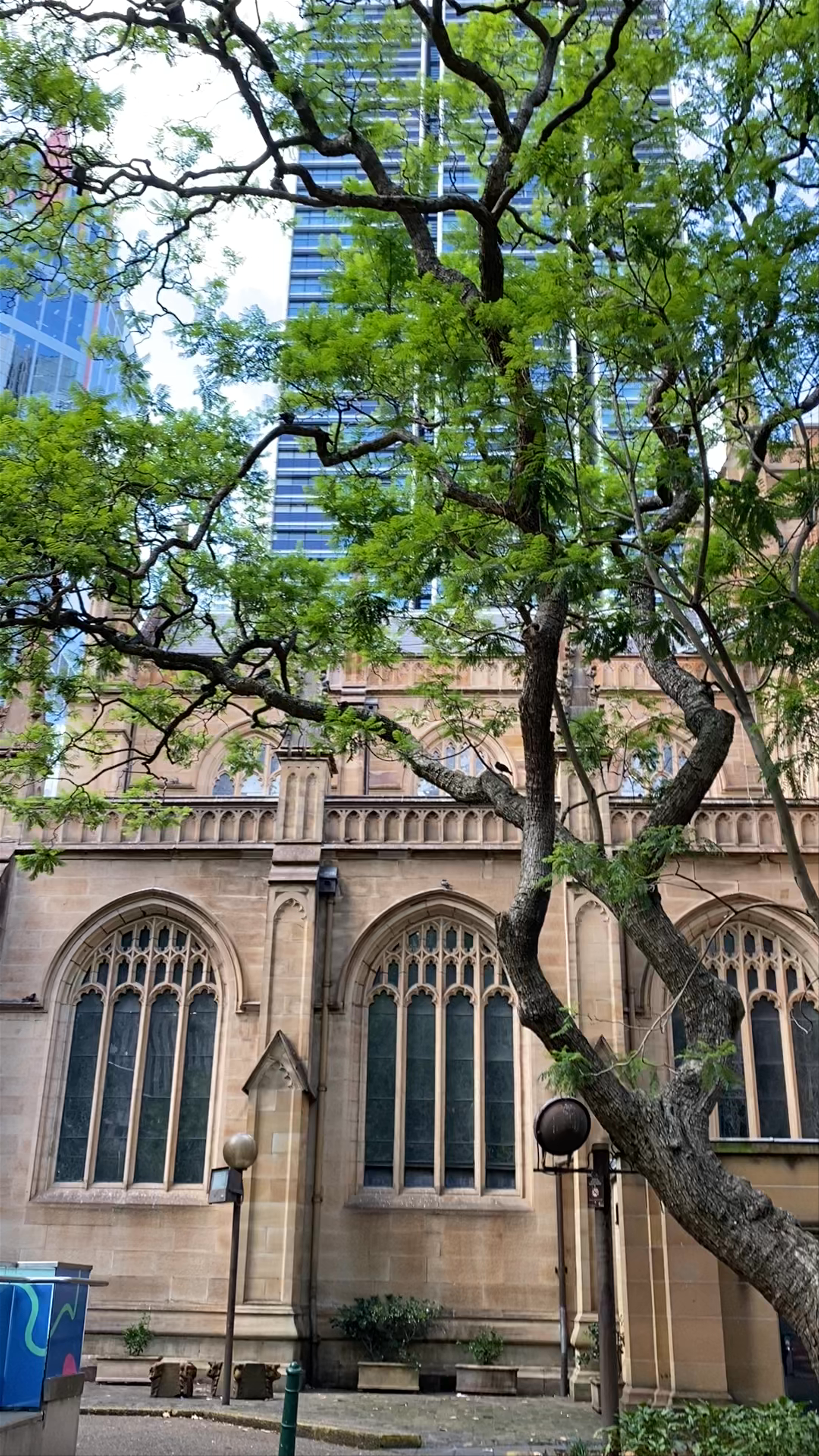 St. Andrew's Cathedral