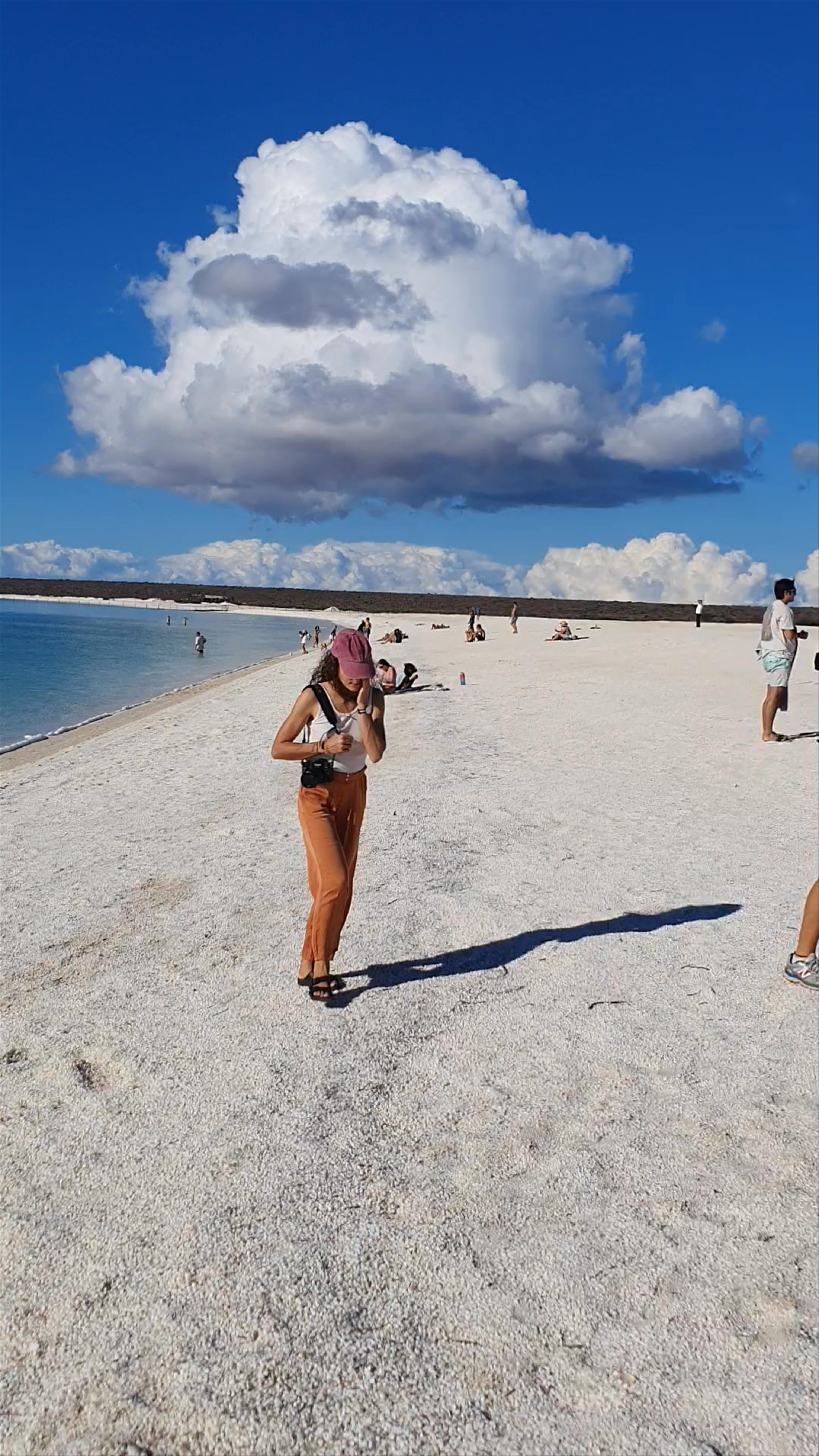 Shell Beach: Serene Shell-Covered Shoreline in Western Australia