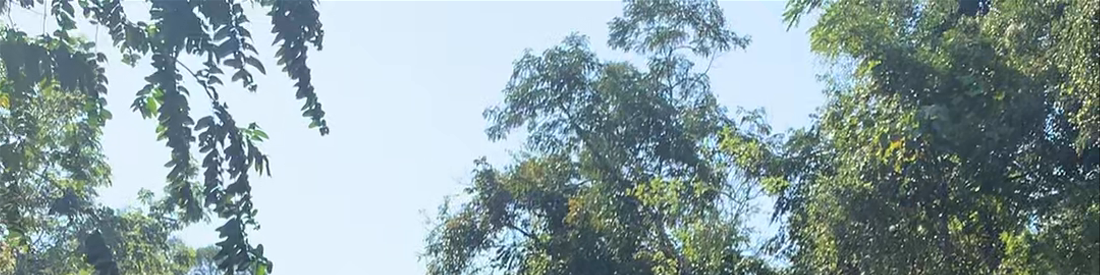 Laos