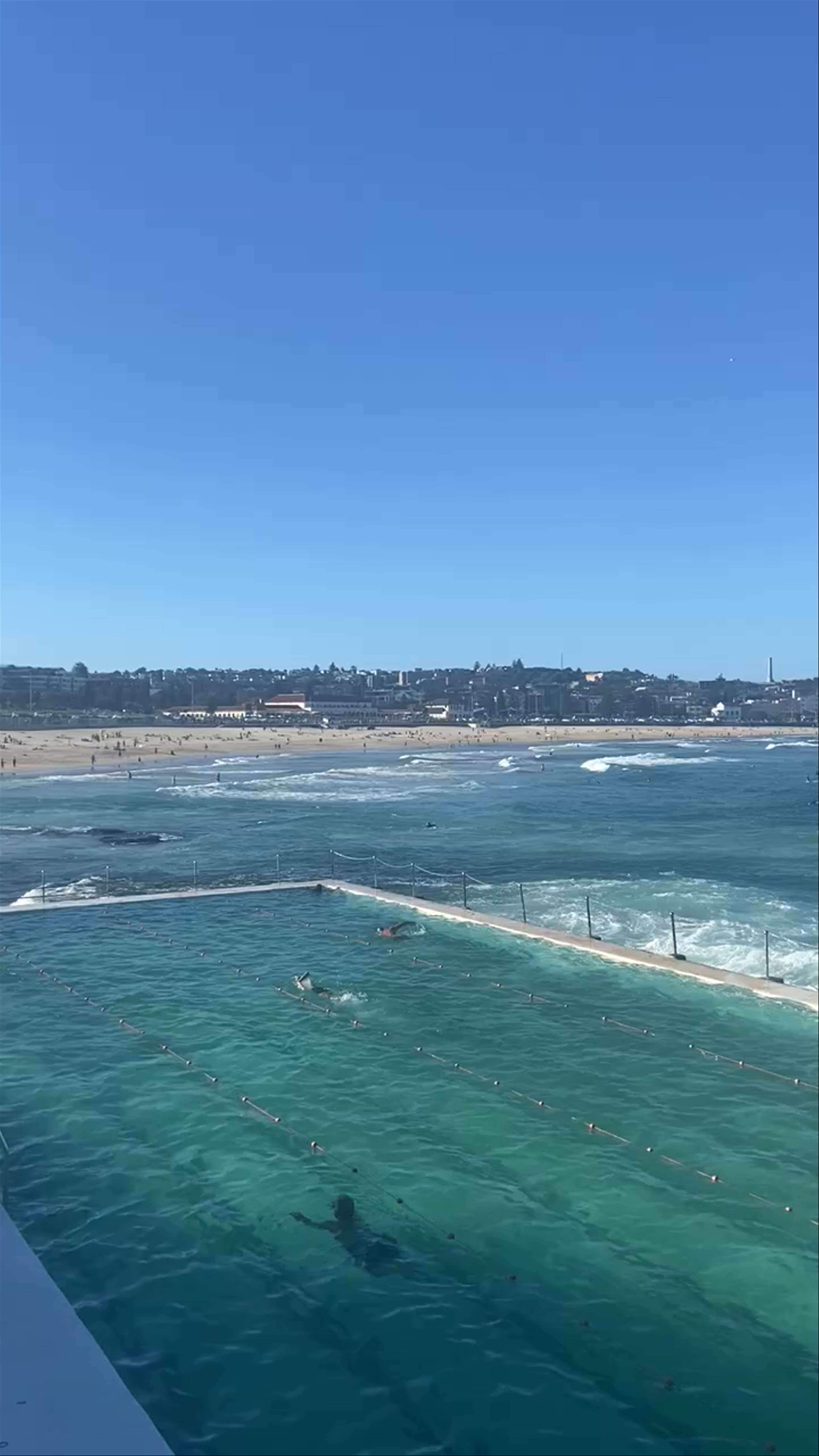 Bondi Icebergs Pool: Vibrant Coastal Swim by Bondi Beach