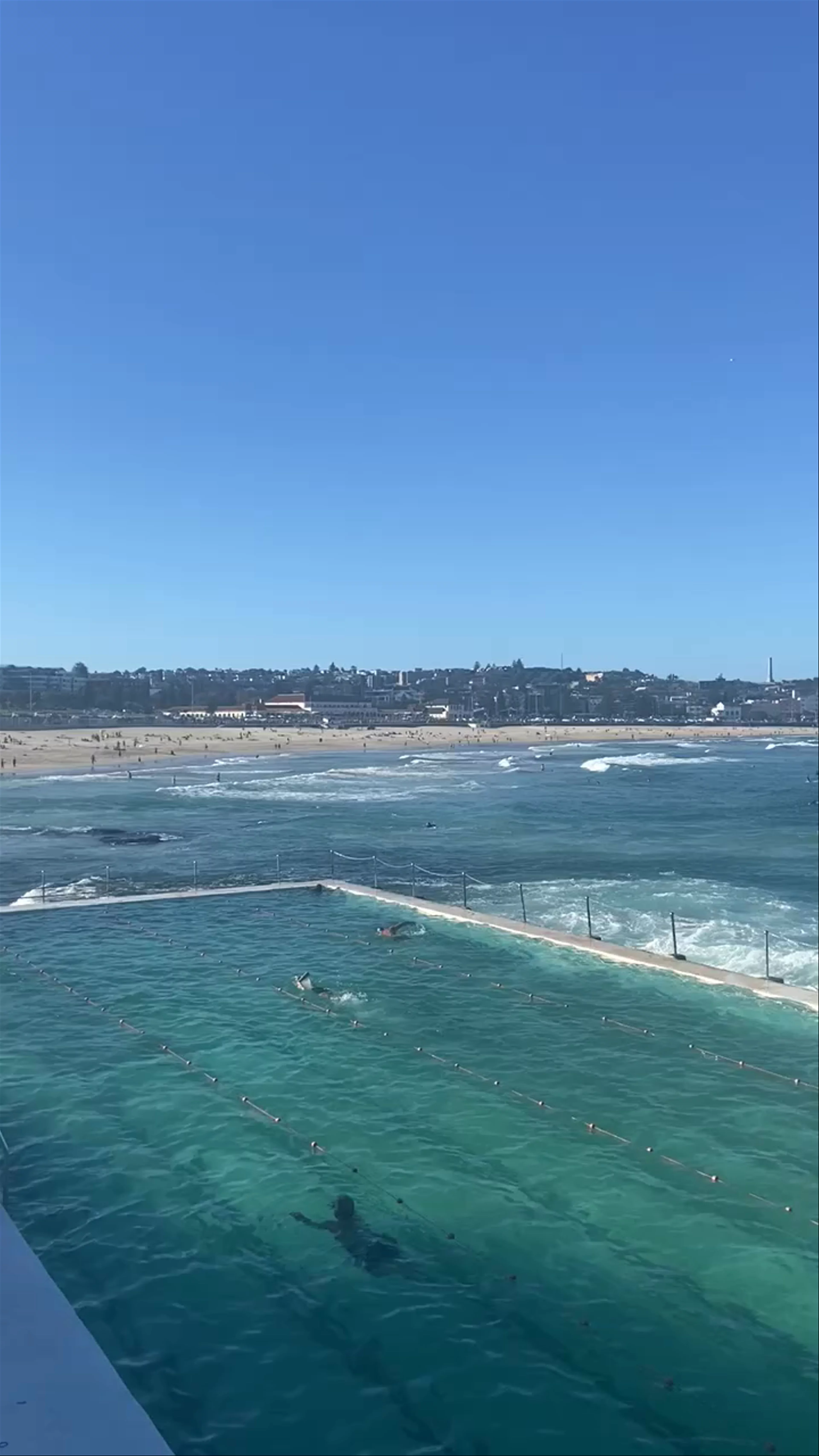 Bondi Icebergs Pool