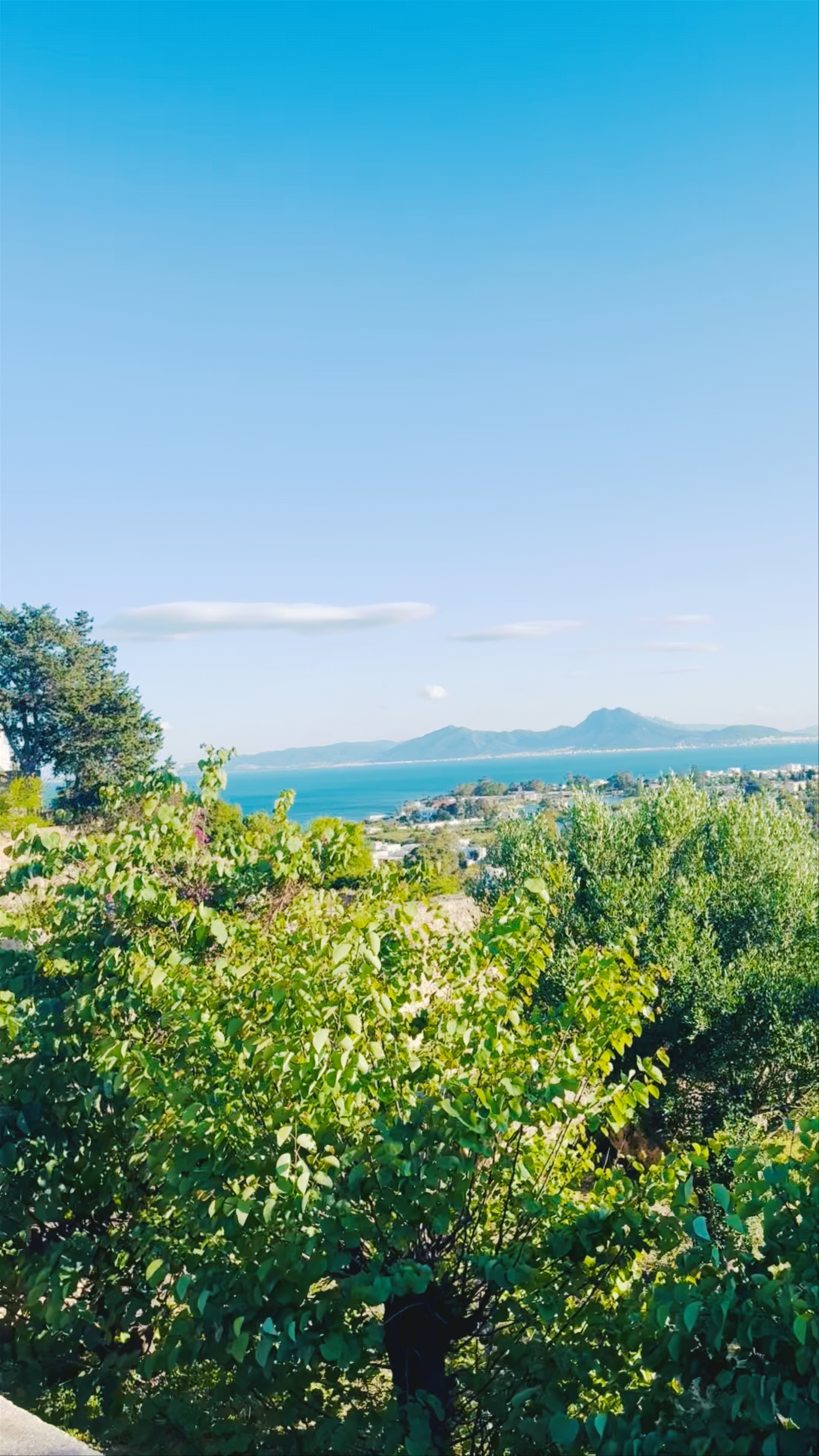 Ruins of Ancient Carthage