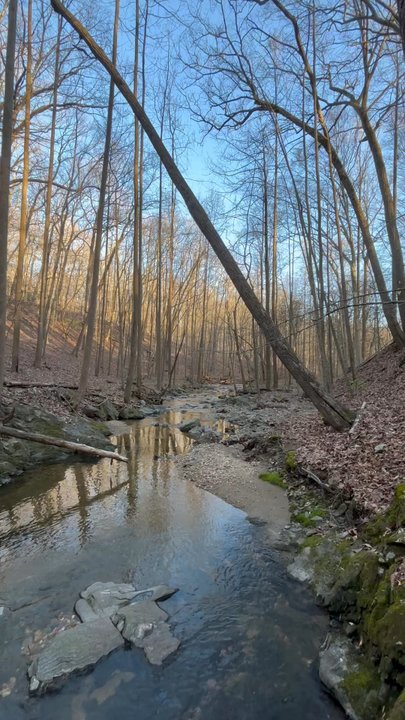Fairland Regional Park - The dirt pathways have little treasures like this where you can sit and simply collect yourself and heal. - Parks Near Me - Laurel, Maryland