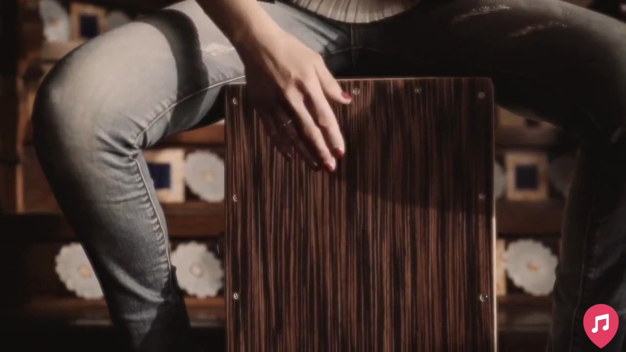 Armonia String Quartet - Promo Video 2026 - video 3
