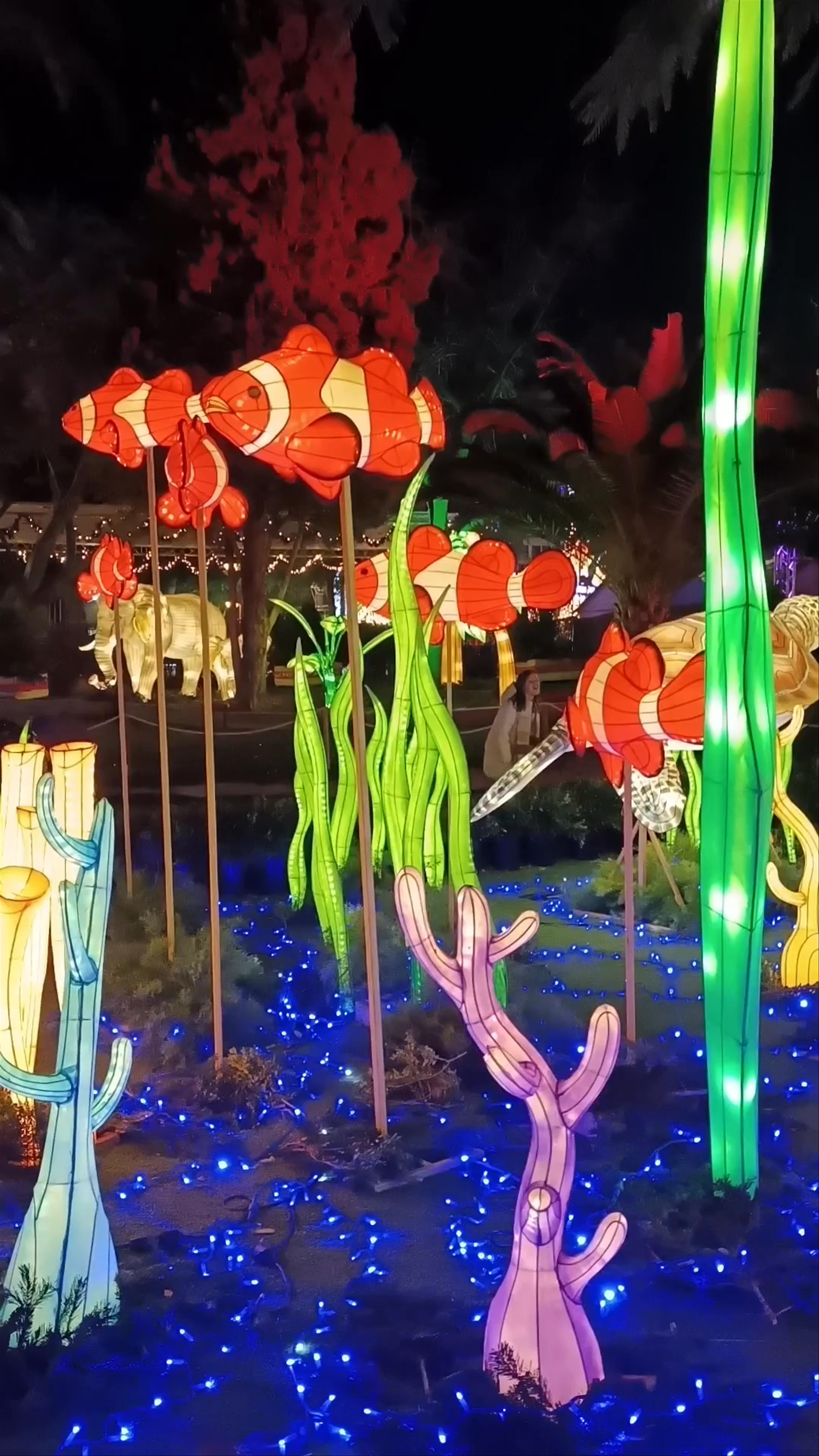 Plaza Circular Nighttime Lantern Festival, Murcia, Spain