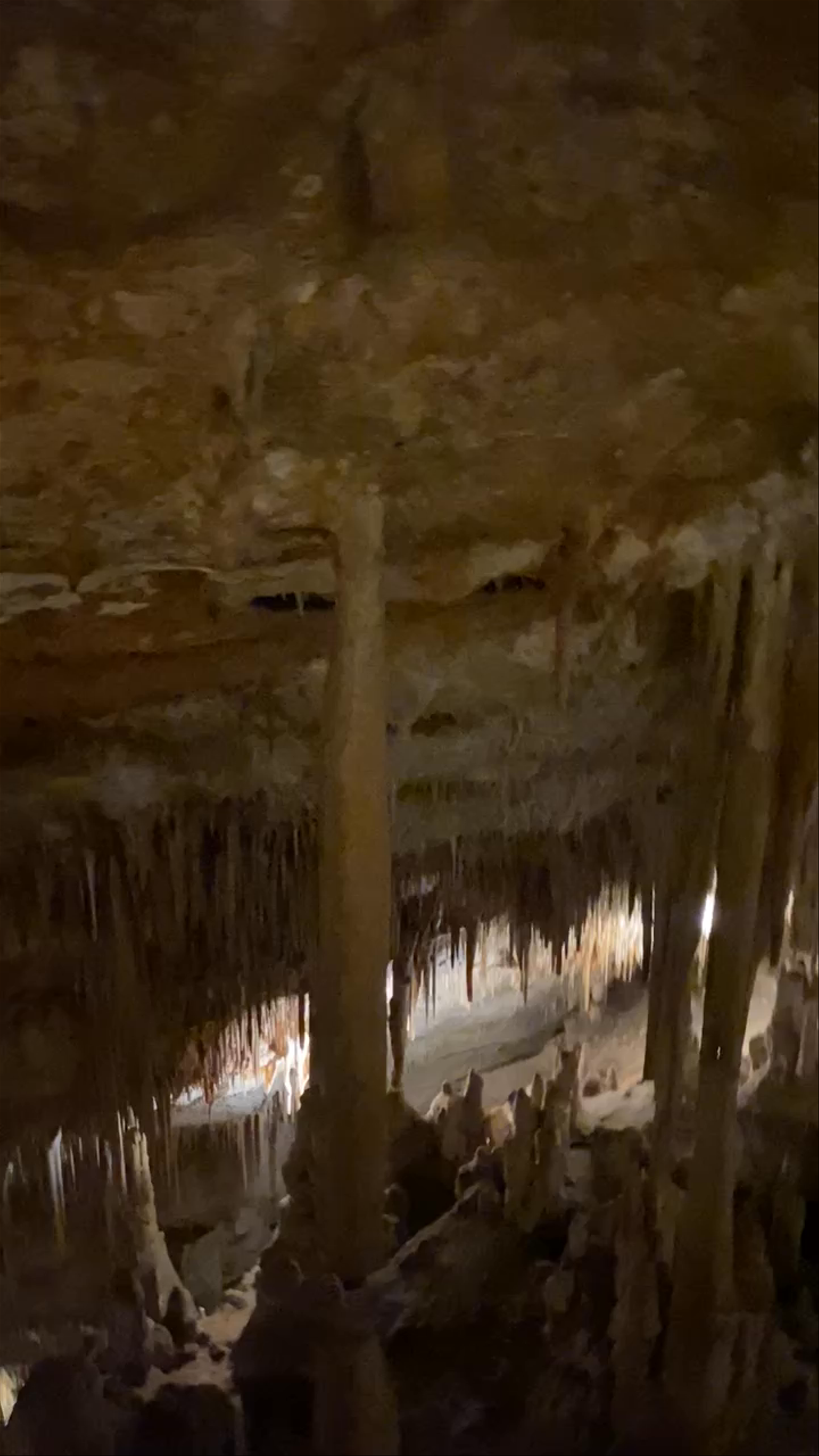 Cuevas del Drach
