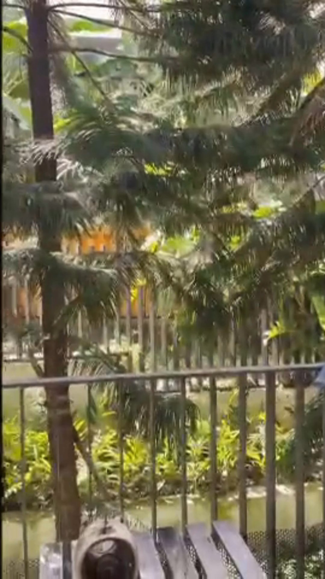 undefined of 1,076 sqft Condo for Rent in Eight Riversuites - Project Photos 16