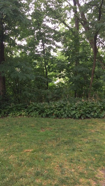 Erchless Estate - Landmarks & Historical Buildings Near Me - Oakville, Ontario