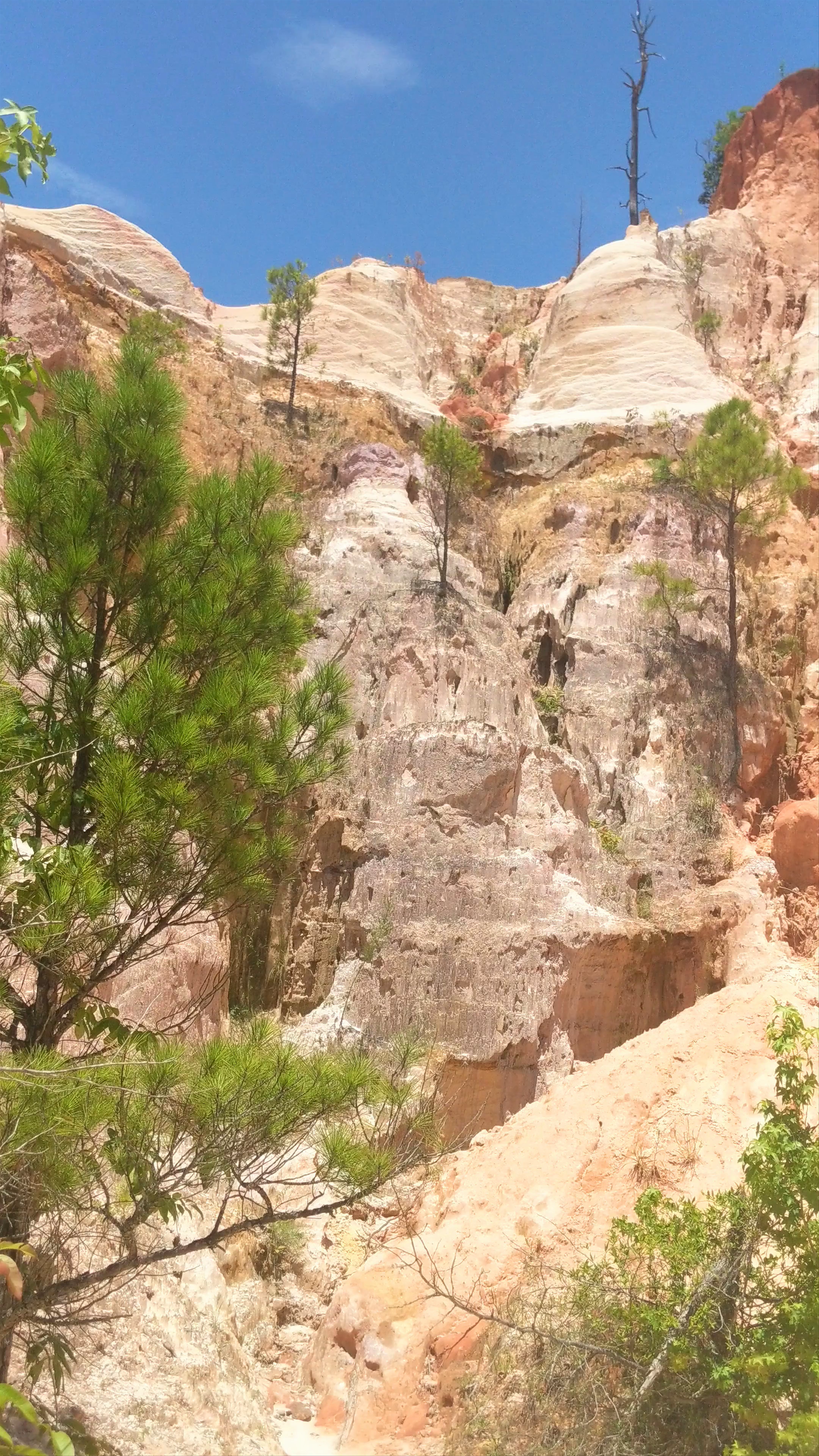 Providence Canyon - The "mini grand canyon"