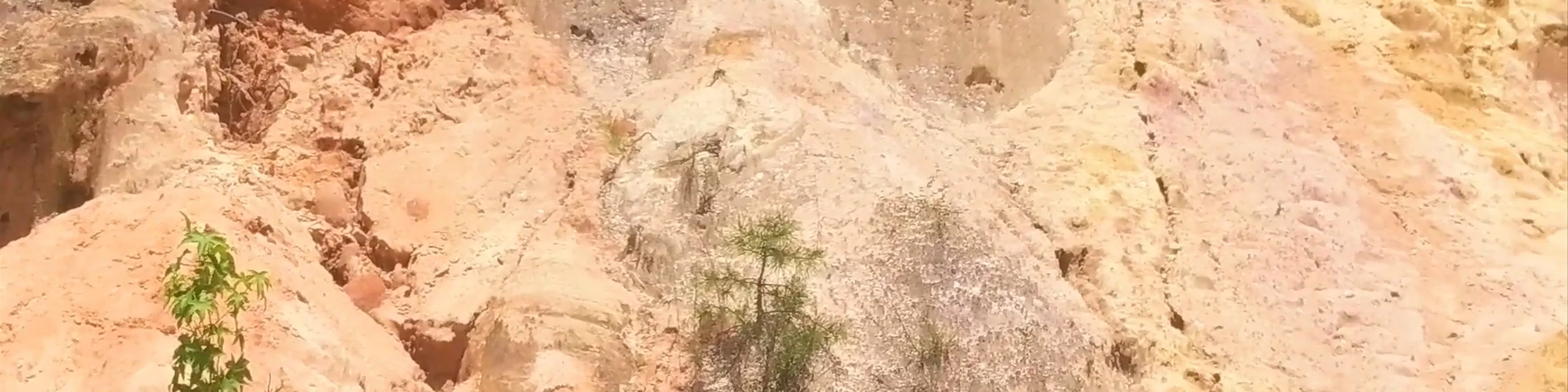 Providence Canyon - The "mini grand canyon"