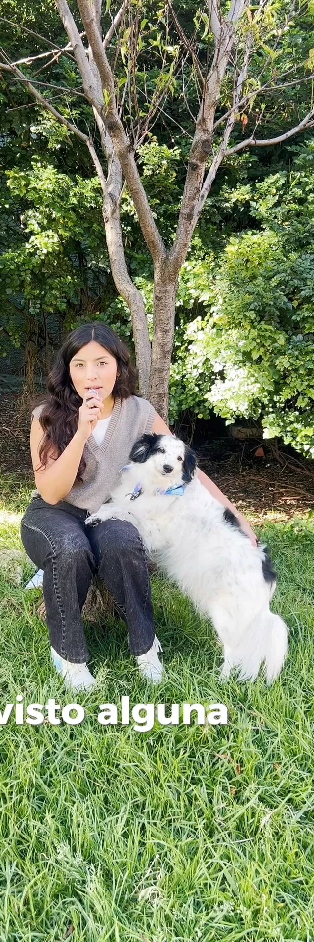 Video sobre cuidados perrunos