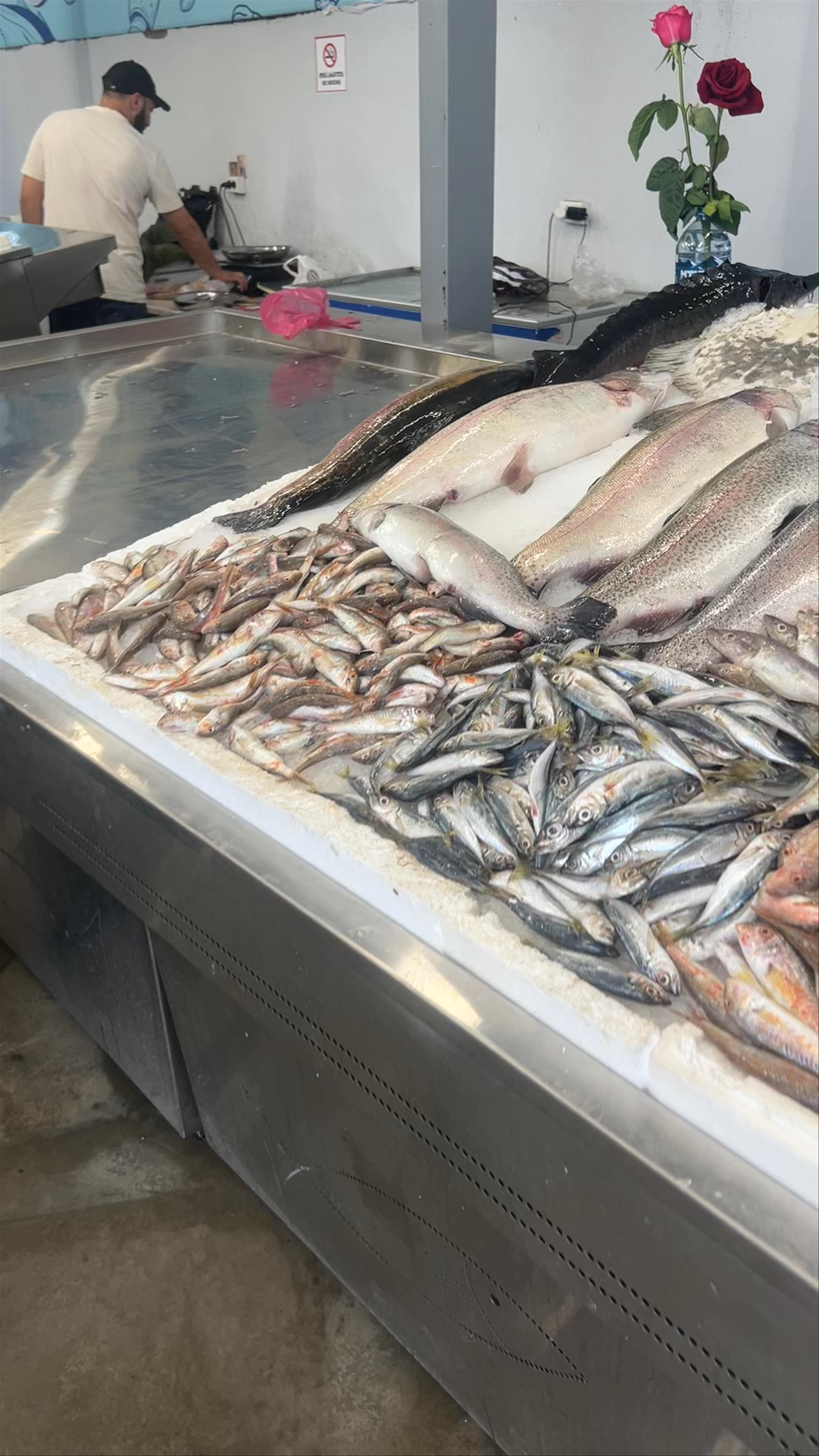 Fresh Seafood Abundance at Batumi Fish Market, Georgia