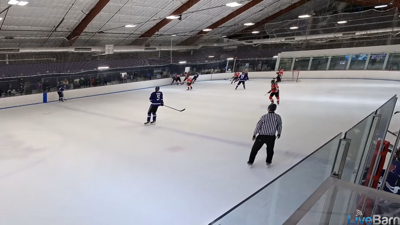 Gavin Perkovich's Game-Changing Goal: Chicago Reapers 14U AAA