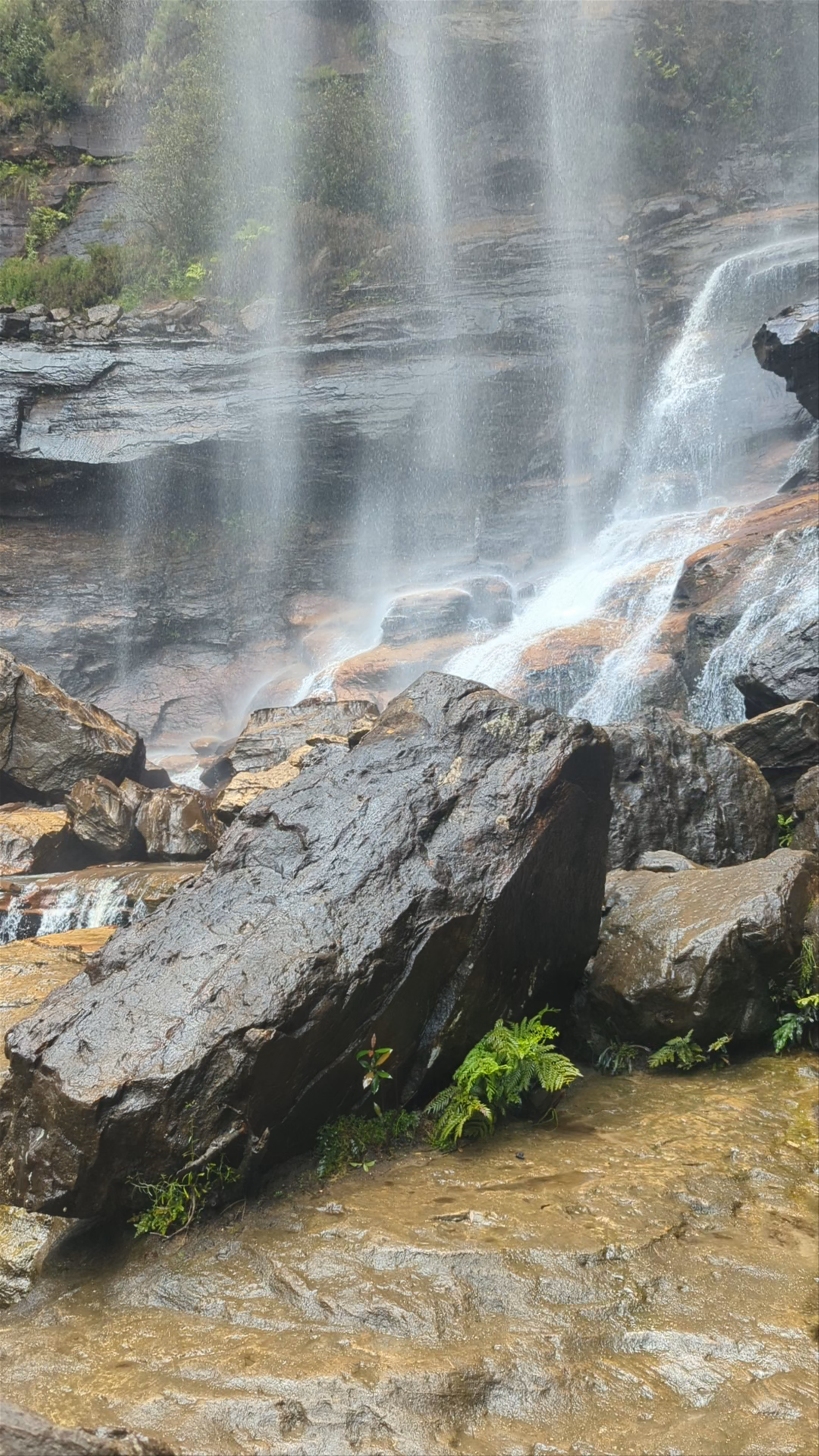 Wentworth Falls