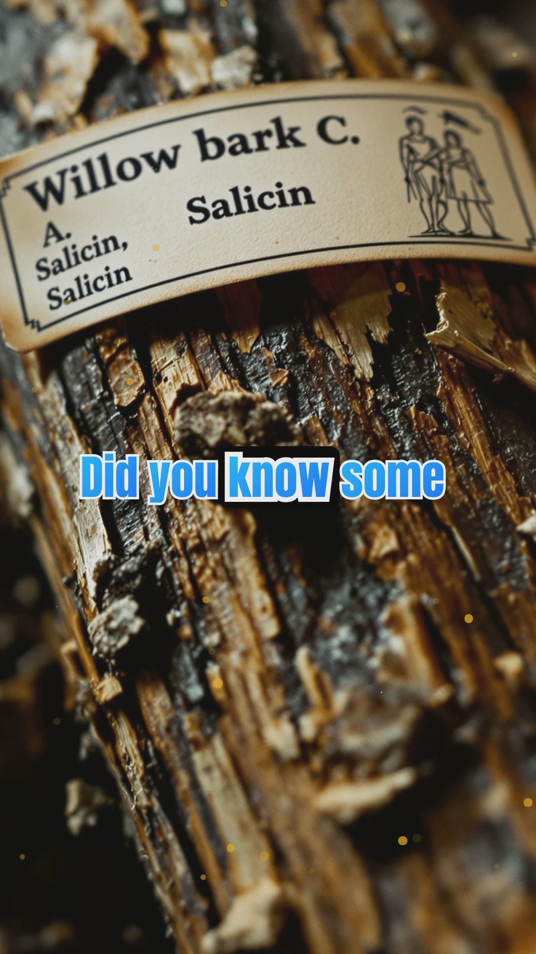 The Power of Plants: From Medicinal Herbs to Carnivorous Species