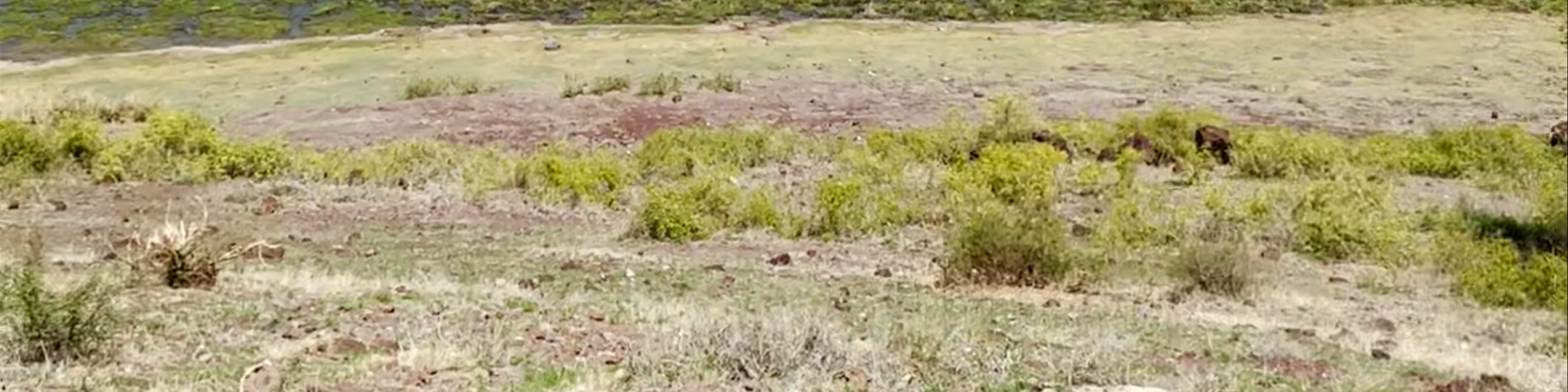 Amboseli National Park