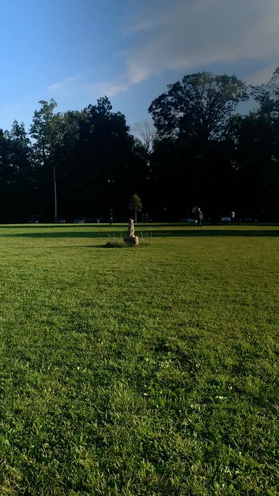 Colonial Park Dog Park - Dog Parks Near Me - Somerset, New Jersey