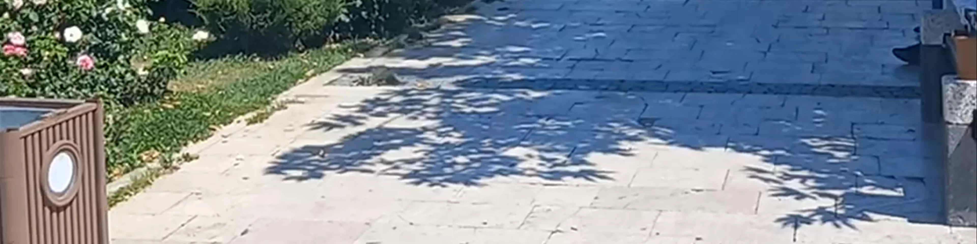 Selçuk Parkı