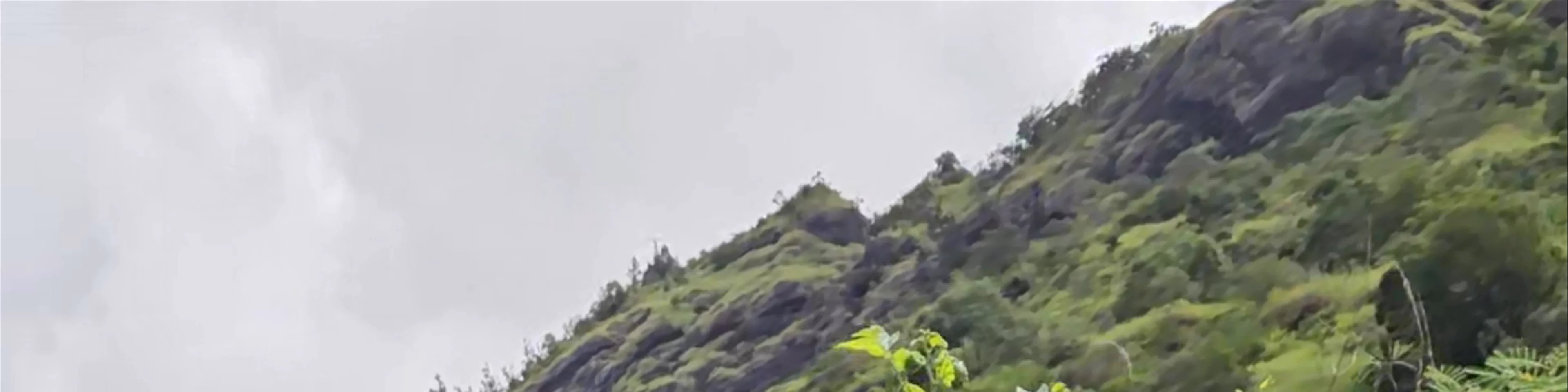 Réserve Naturelle De La Nouvelle