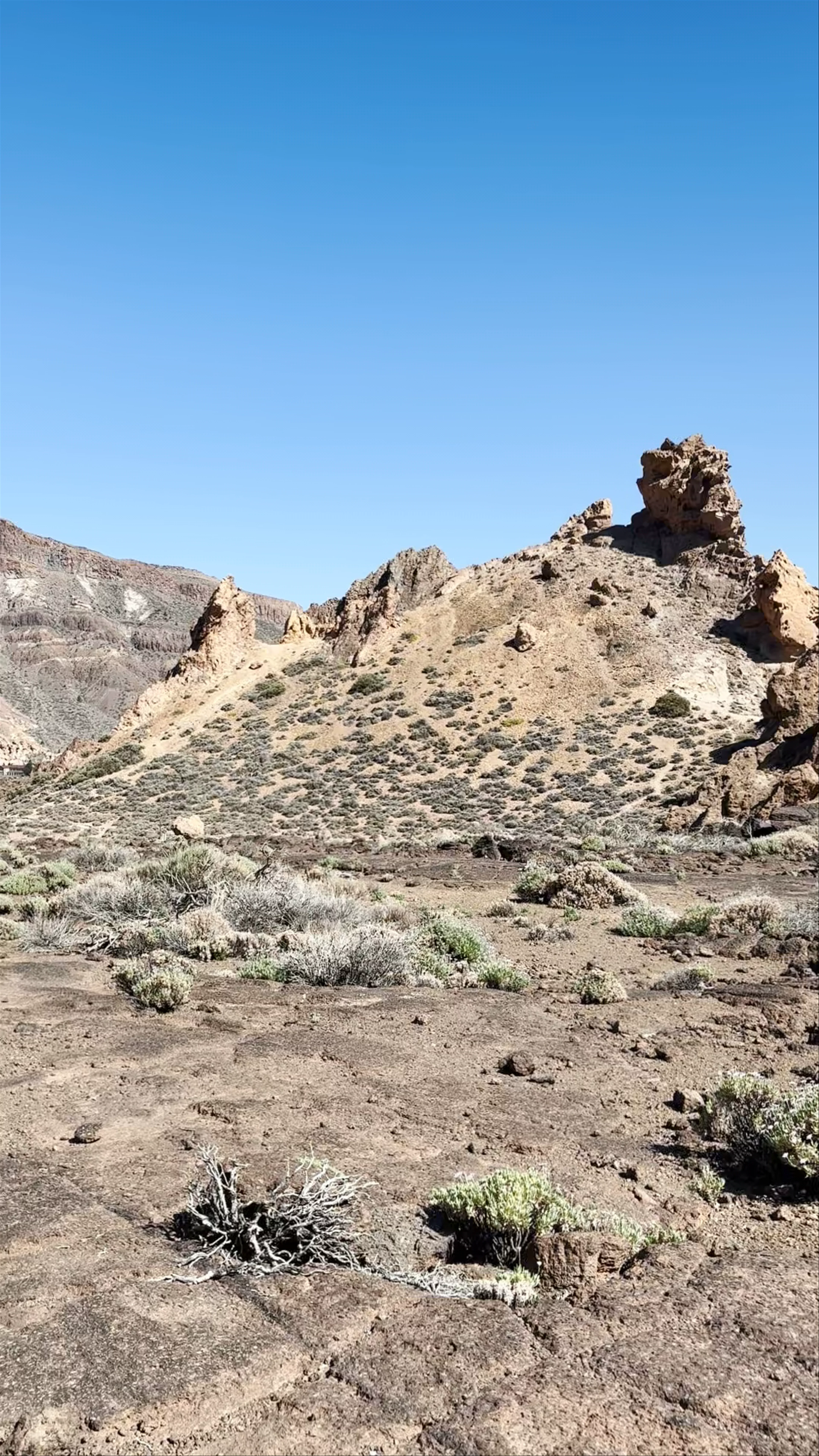 Sendero Roques de García