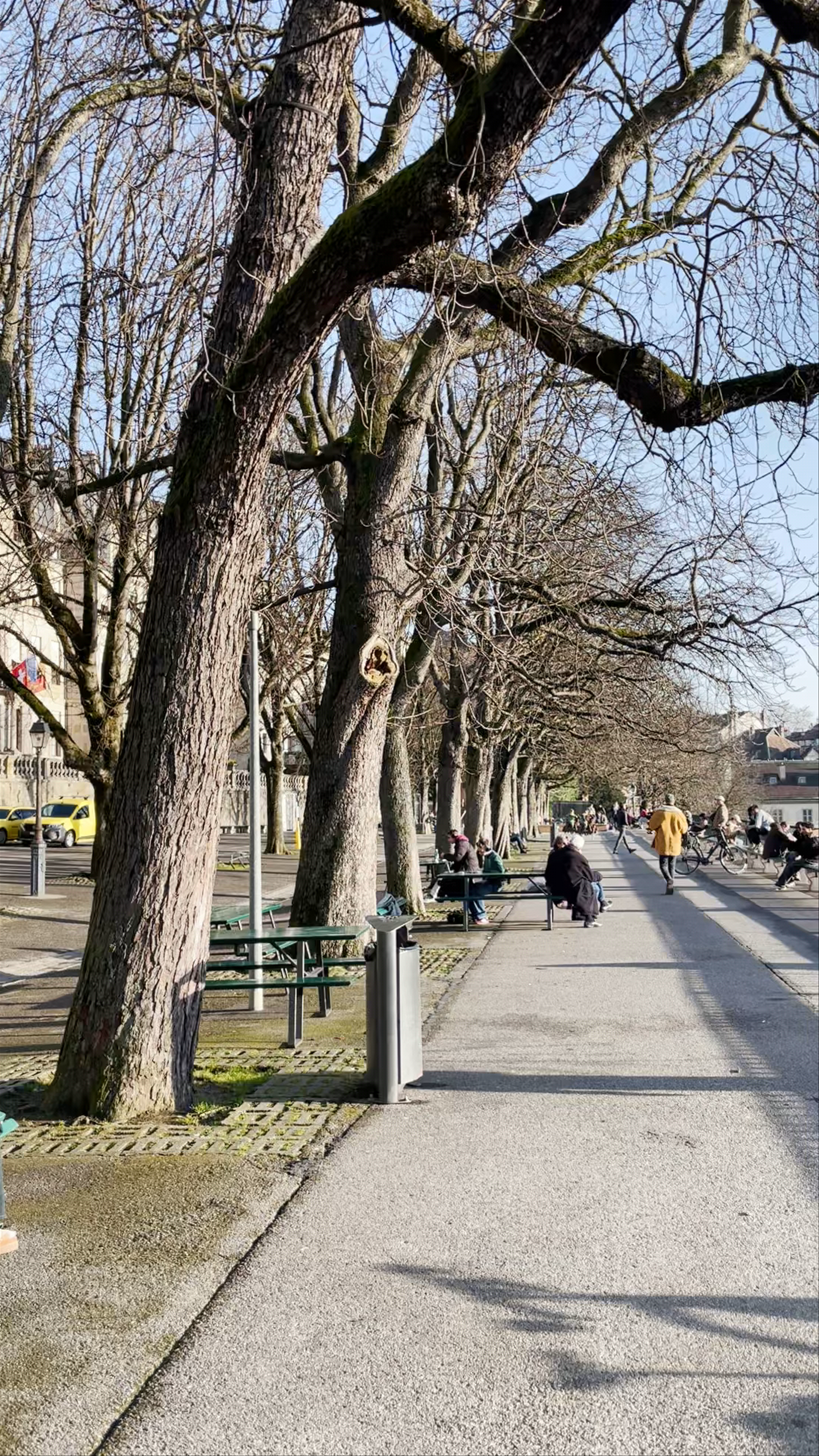 Promenade de la Treille