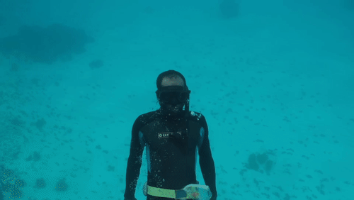 Freediver Surfacing animated gif