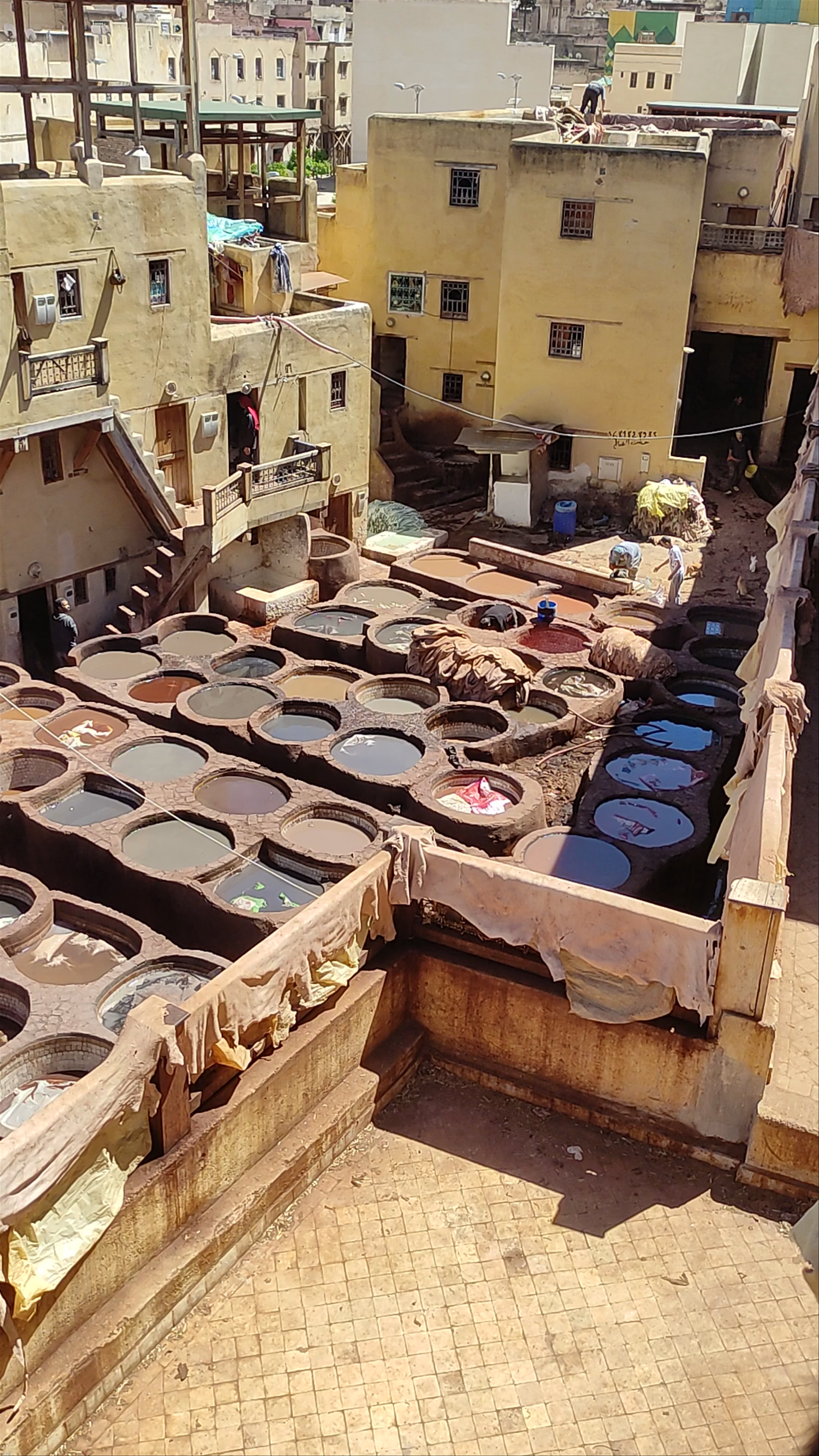 Traditional Leather Tanning at Curtiduría, Fes - Morocco's Timeless Craft