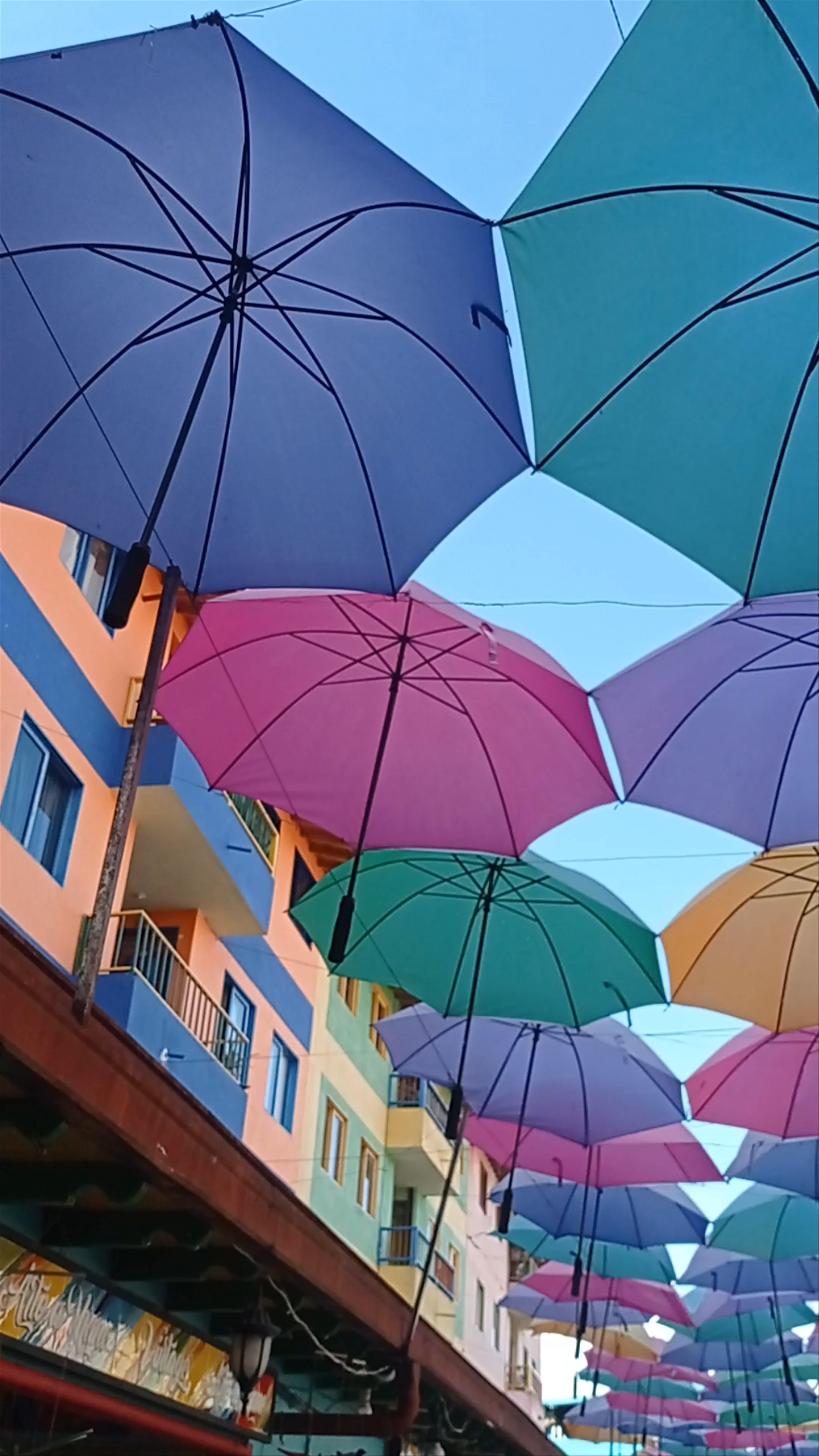 Plazoleta de Los Zócalos