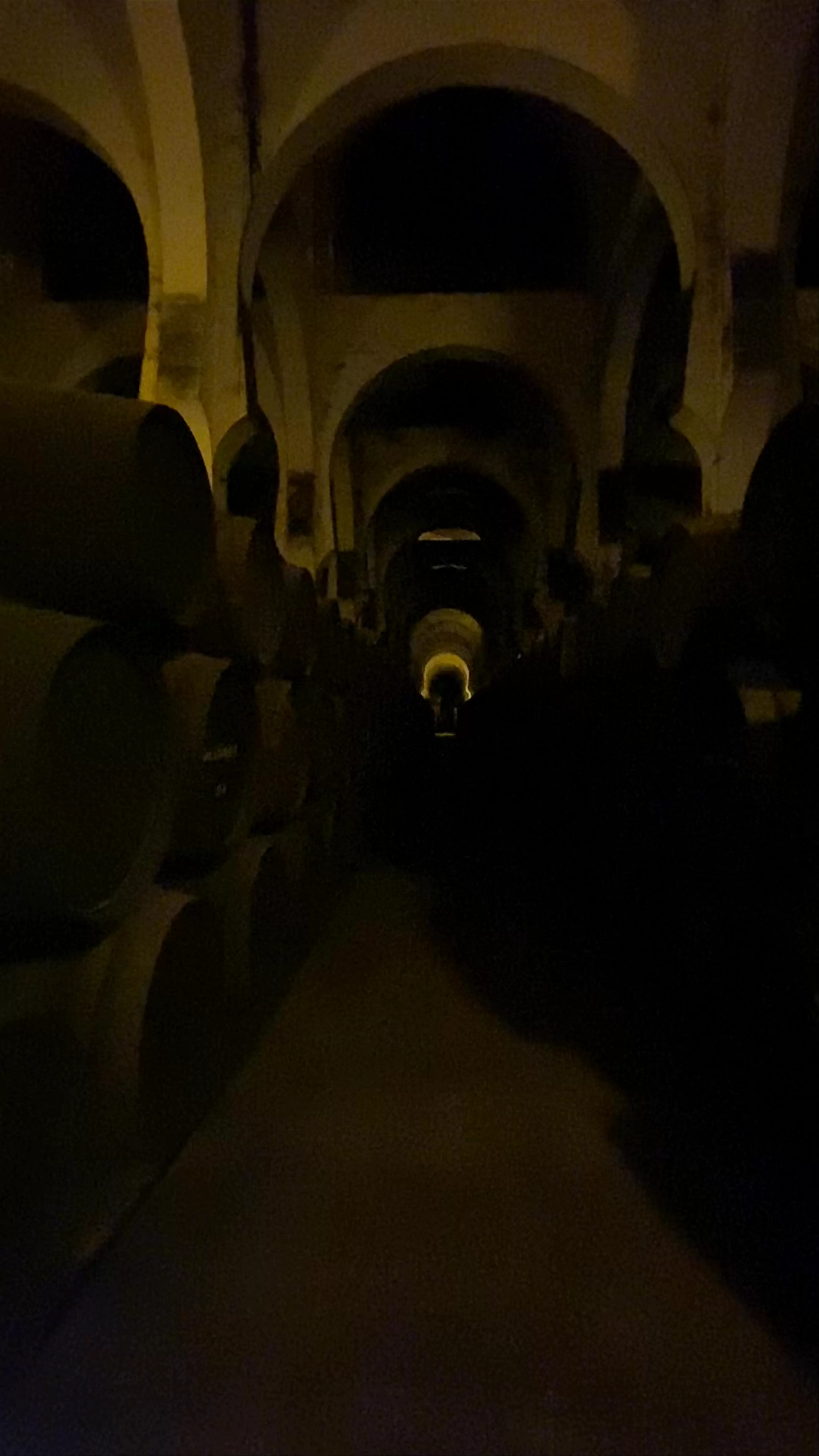 Bodegas Fundador